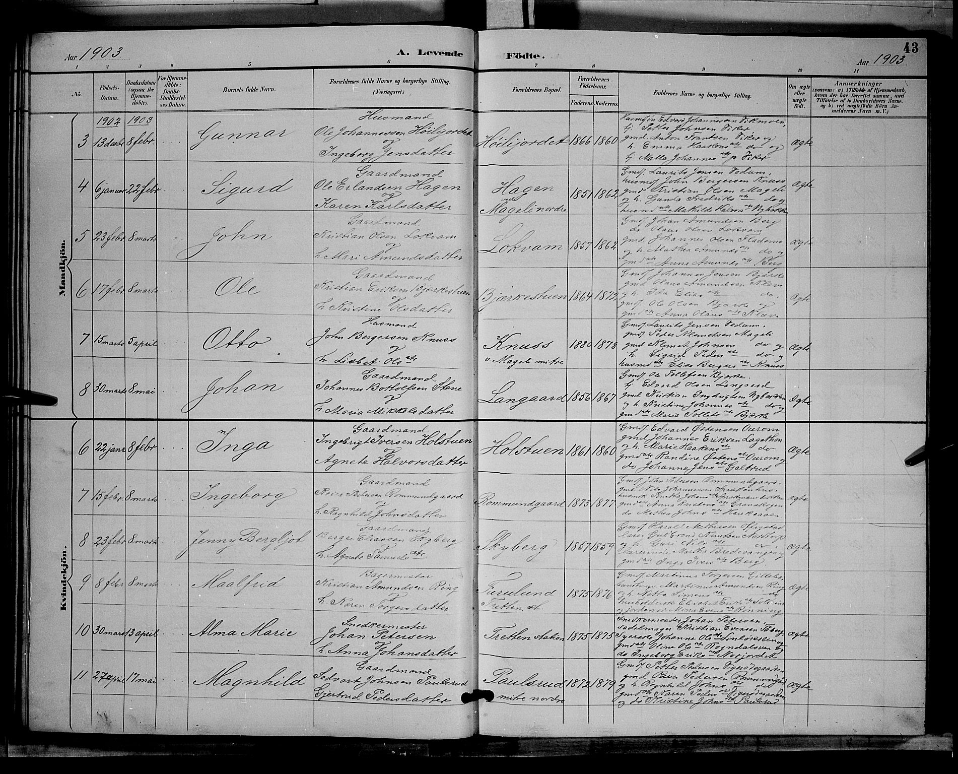 Øyer prestekontor, SAH/PREST-084/H/Ha/Hab/L0004: Parish register (copy) no. 4, 1894-1905, p. 43