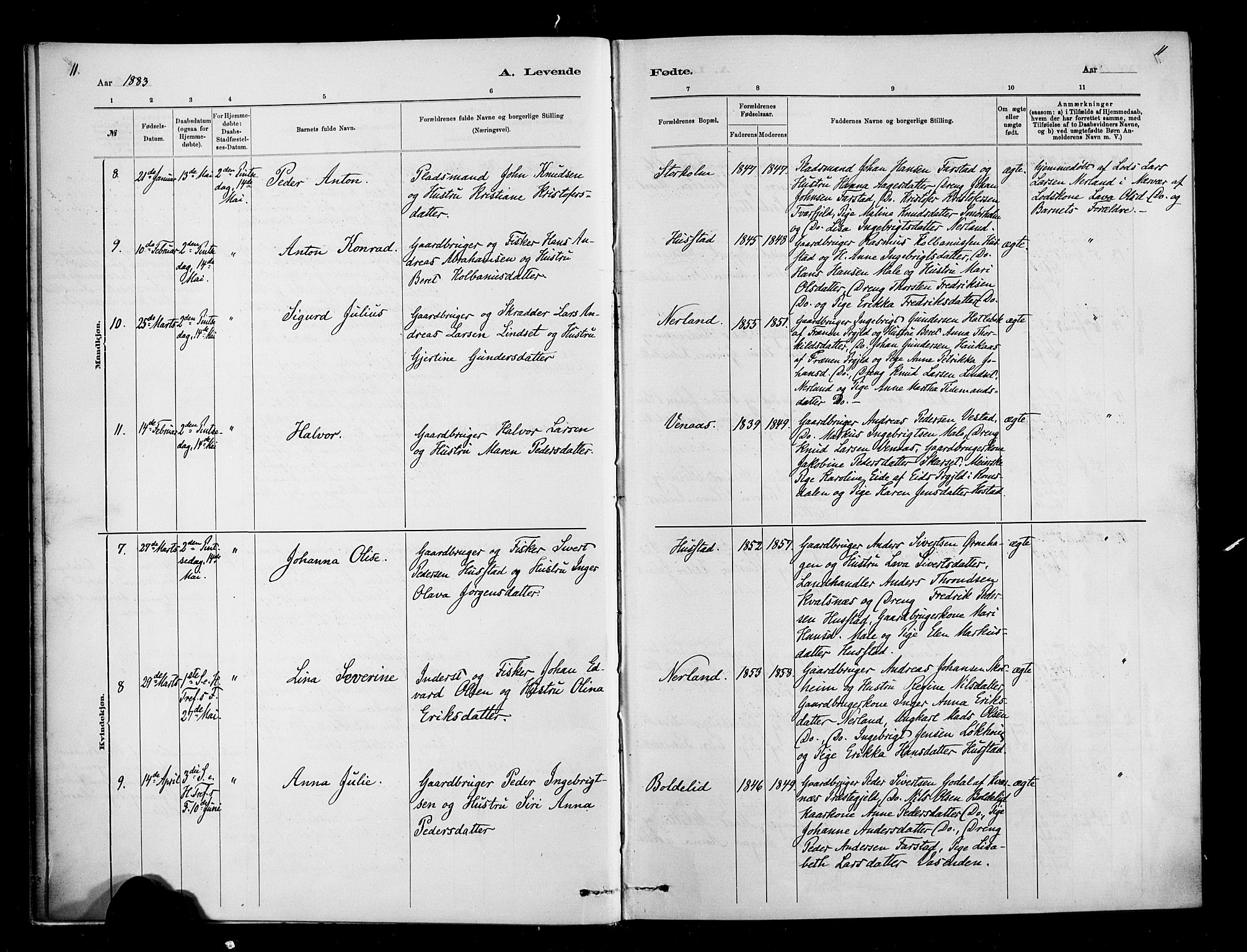 Ministerialprotokoller, klokkerbøker og fødselsregistre - Møre og Romsdal, AV/SAT-A-1454/567/L0778: Parish register (official) no. 567A01, 1881-1903, p. 11