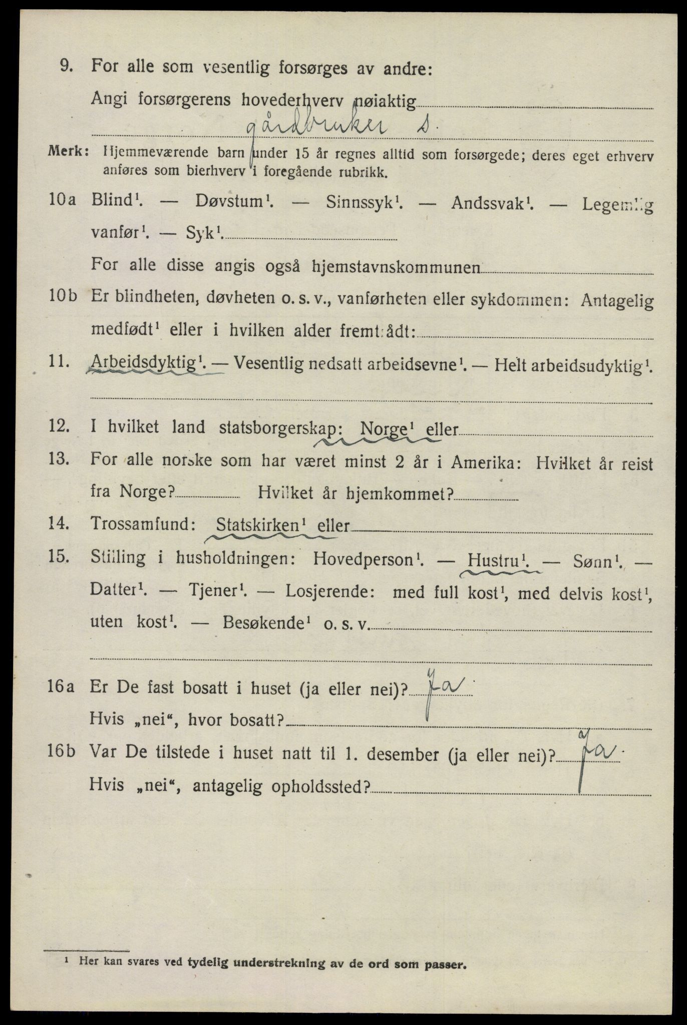 SAO, 1920 census for Nes, 1920, p. 14693