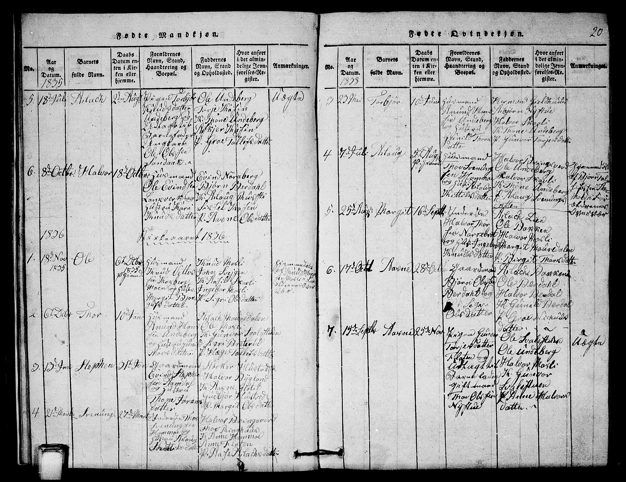 Vinje kirkebøker, SAKO/A-312/G/Gb/L0001: Parish register (copy) no. II 1, 1814-1843, p. 20
