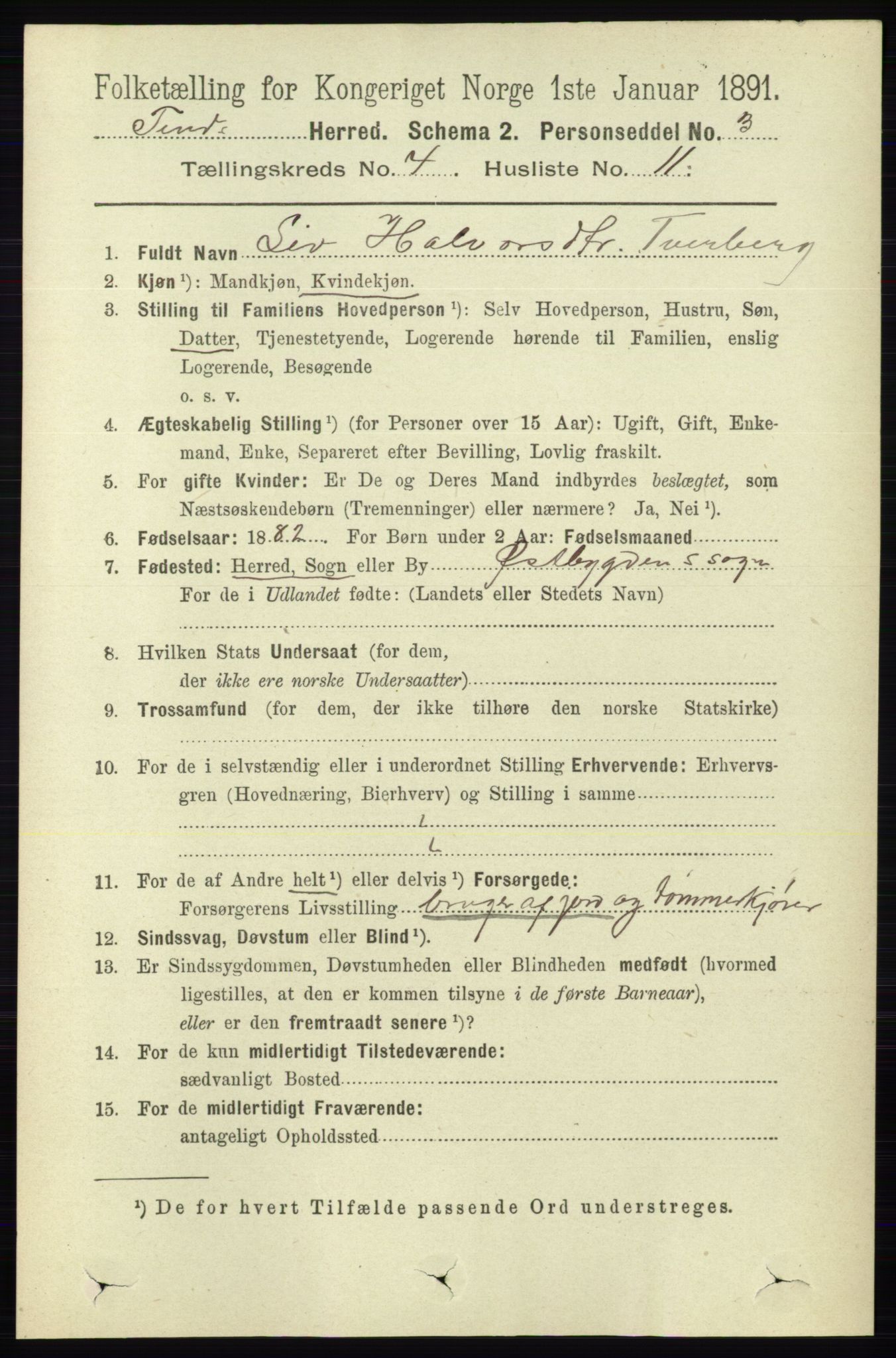 RA, 1891 census for 0826 Tinn, 1891, p. 785