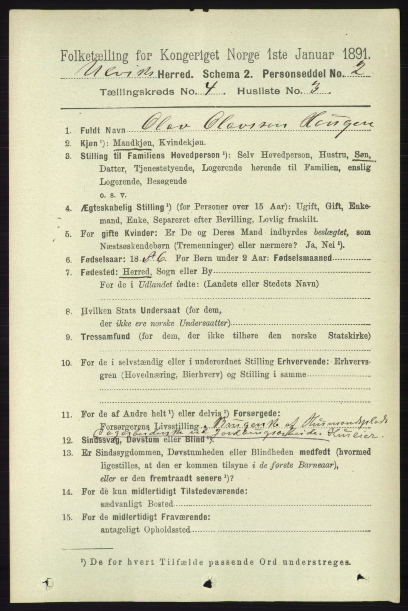 RA, 1891 census for 1233 Ulvik, 1891, p. 597