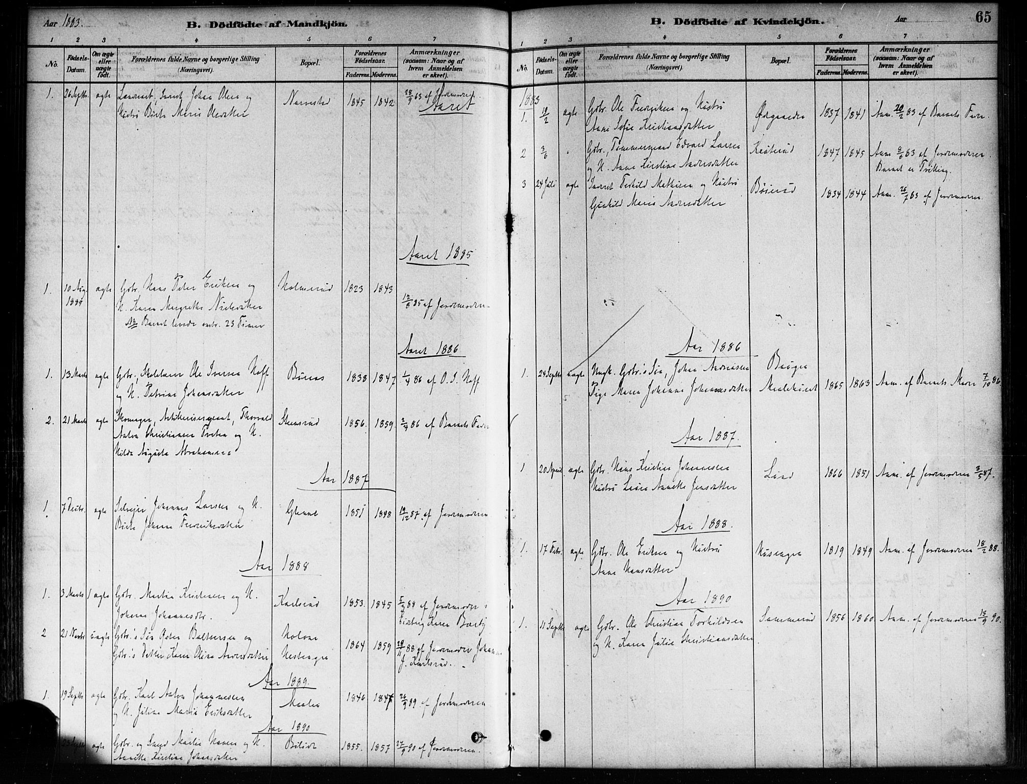 Skiptvet prestekontor Kirkebøker, SAO/A-20009/F/Fa/L0009: Parish register (official) no. 9, 1878-1900, p. 65