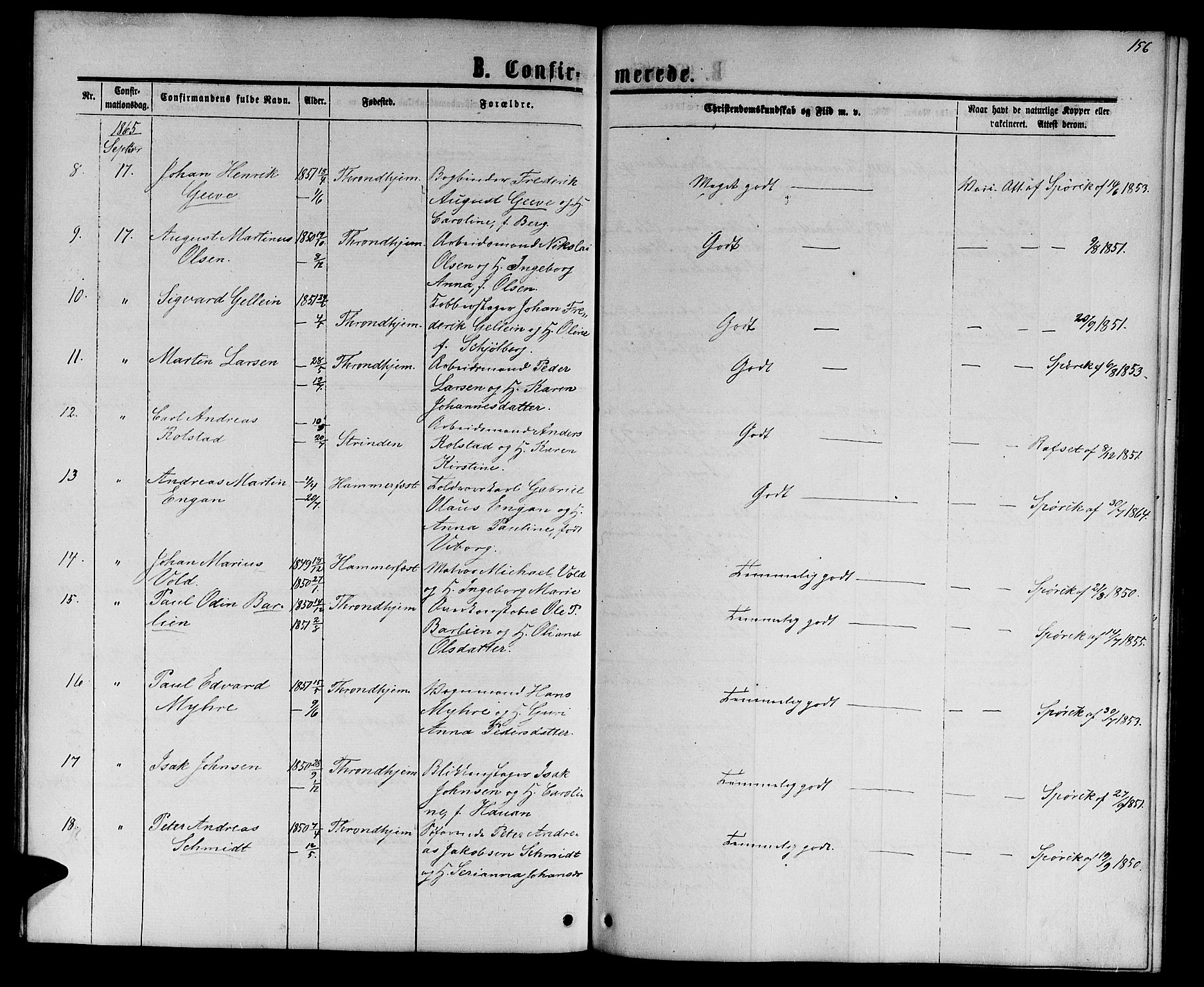 Ministerialprotokoller, klokkerbøker og fødselsregistre - Sør-Trøndelag, AV/SAT-A-1456/601/L0087: Parish register (copy) no. 601C05, 1864-1881, p. 156