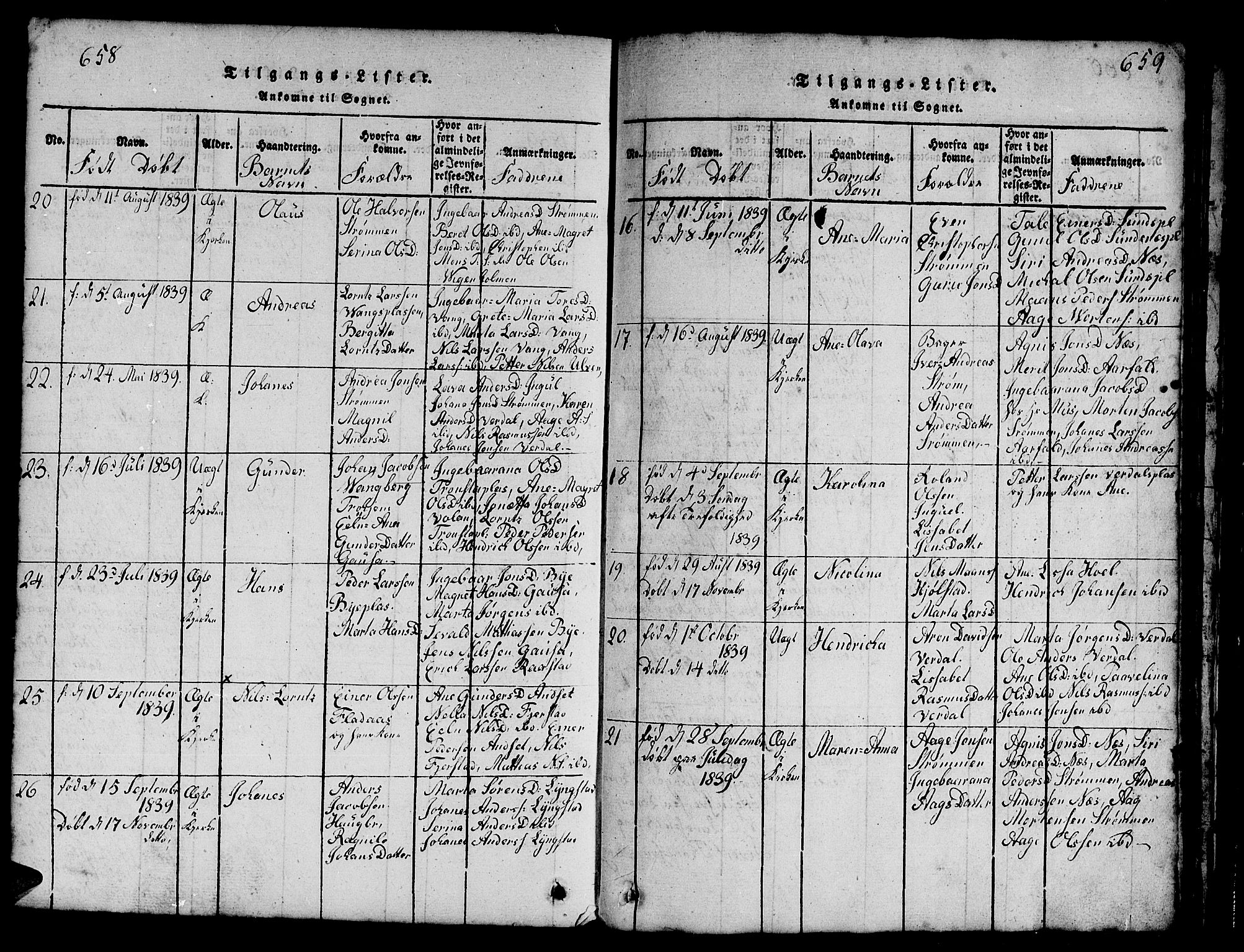 Ministerialprotokoller, klokkerbøker og fødselsregistre - Nord-Trøndelag, SAT/A-1458/730/L0298: Parish register (copy) no. 730C01, 1816-1849, p. 658-659