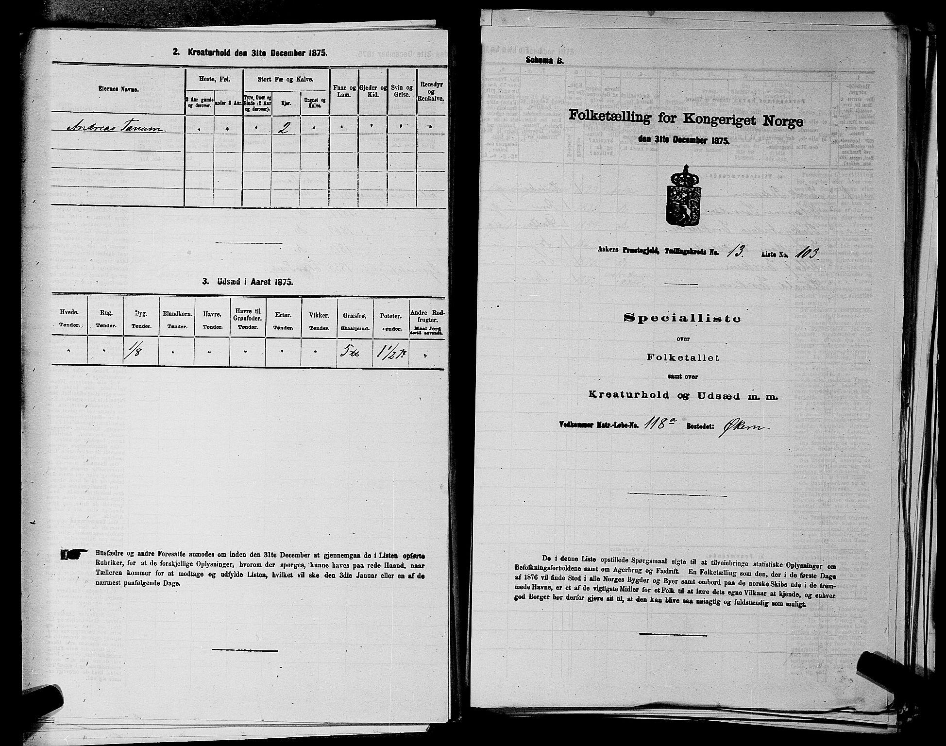 RA, 1875 census for 0220P Asker, 1875, p. 2496