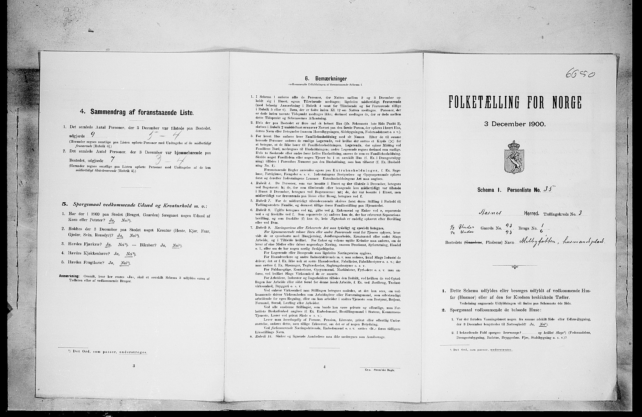 SAH, 1900 census for Åsnes, 1900, p. 490