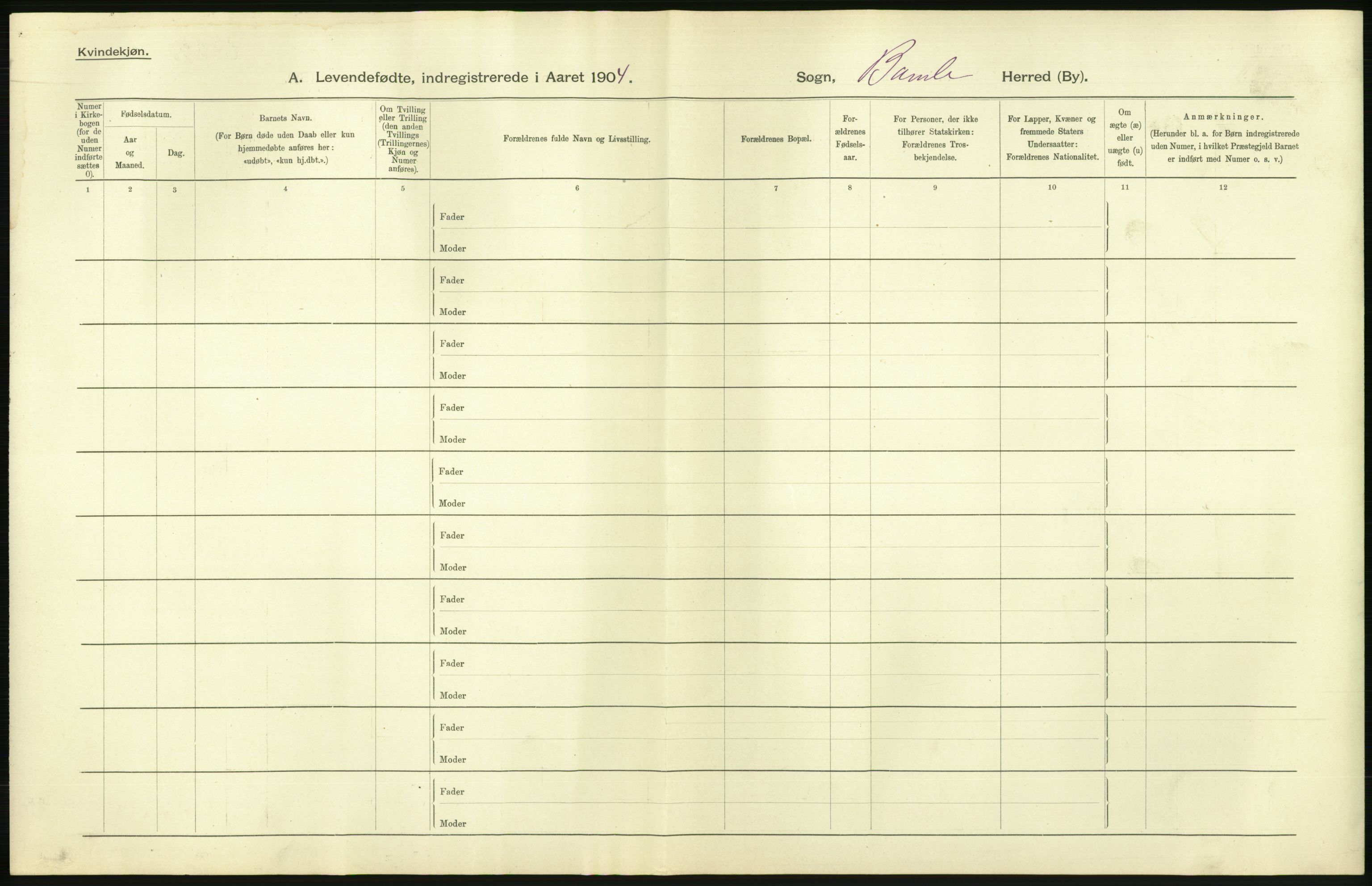 Statistisk sentralbyrå, Sosiodemografiske emner, Befolkning, AV/RA-S-2228/D/Df/Dfa/Dfab/L0009: Bratsberg amt: Fødte, gifte, døde, 1904, p. 56