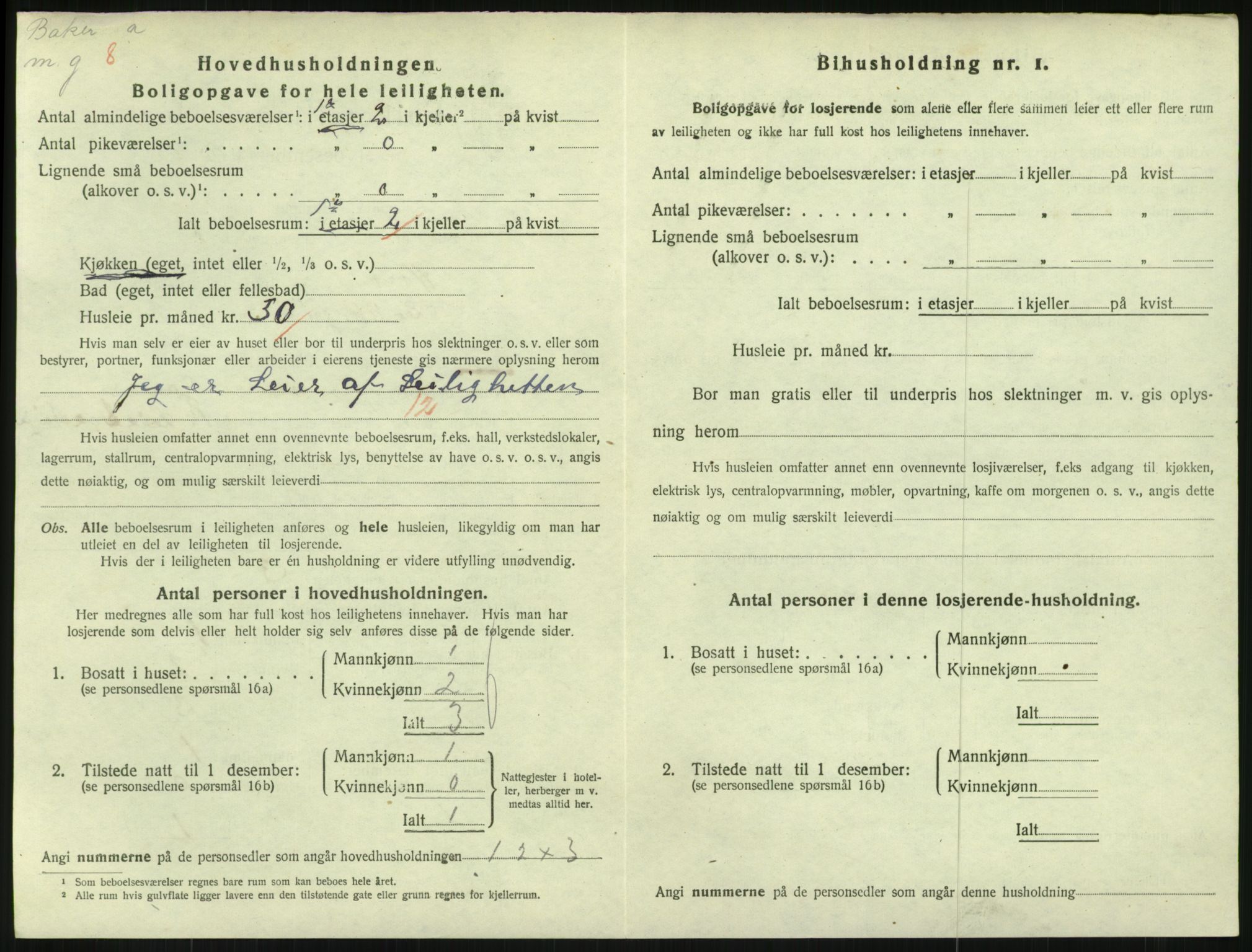 SAKO, 1920 census for Horten, 1920, p. 5052