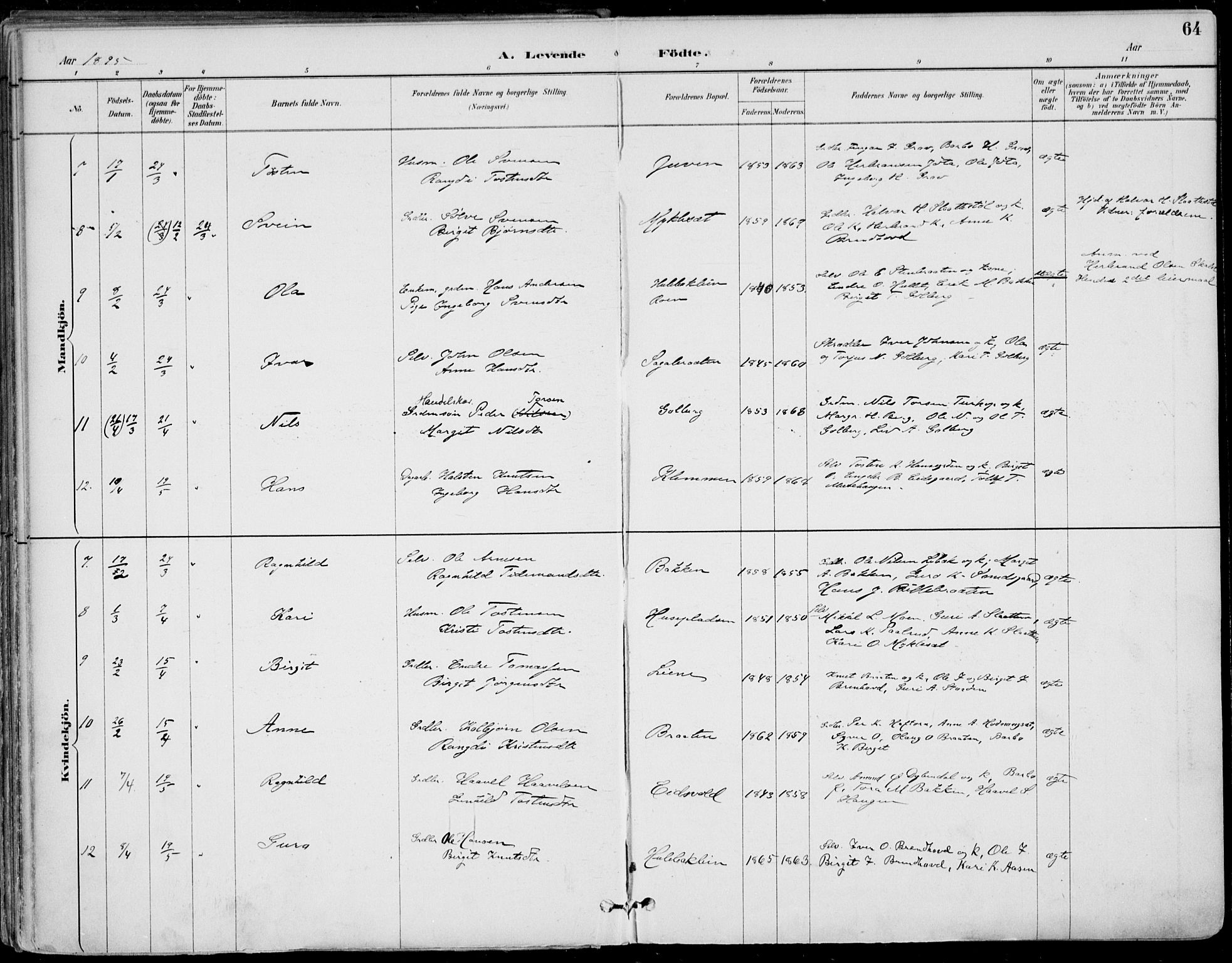 Gol kirkebøker, AV/SAKO-A-226/F/Fa/L0005: Parish register (official) no. I 5, 1887-1900, p. 64