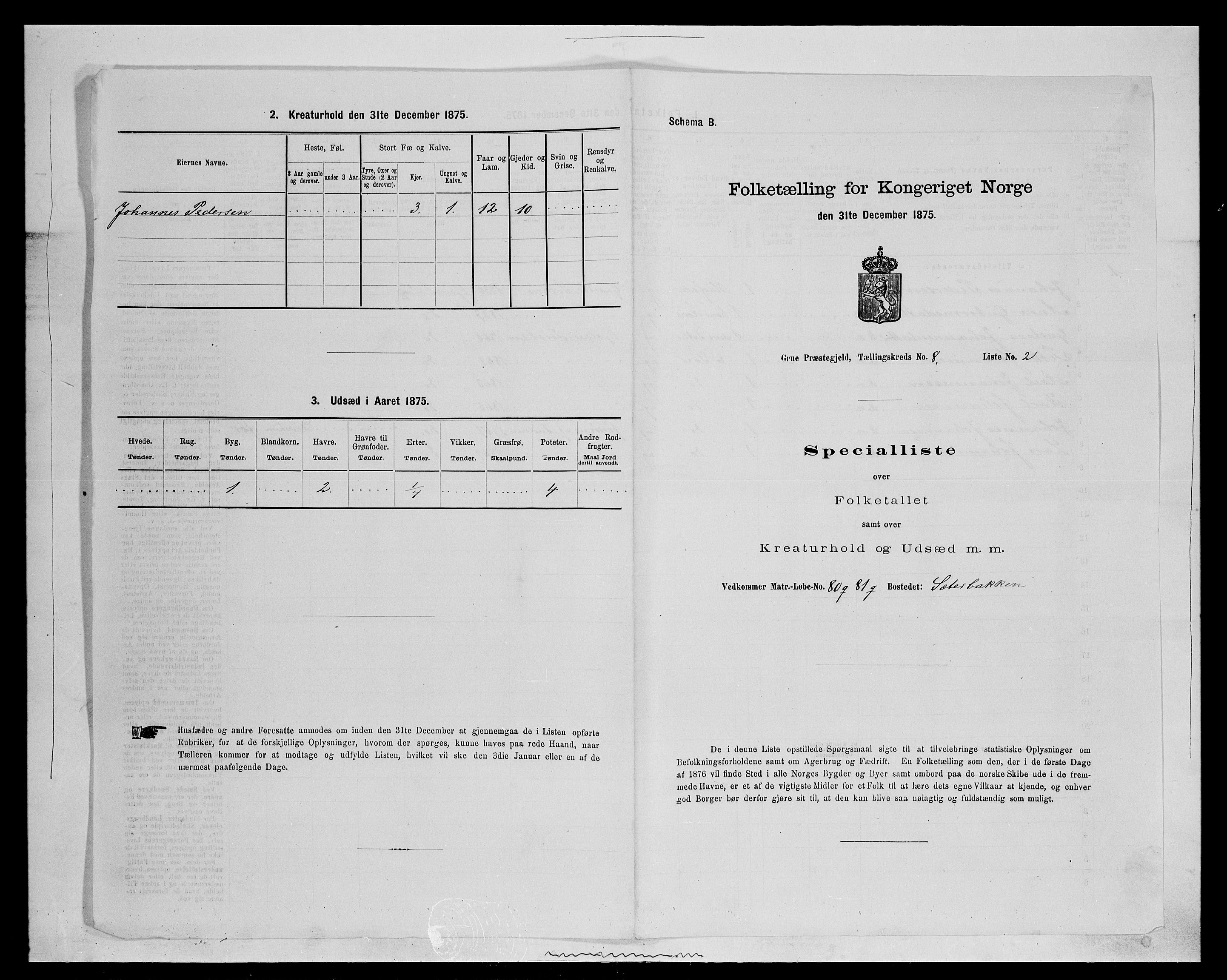 SAH, 1875 census for 0423P Grue, 1875, p. 1407