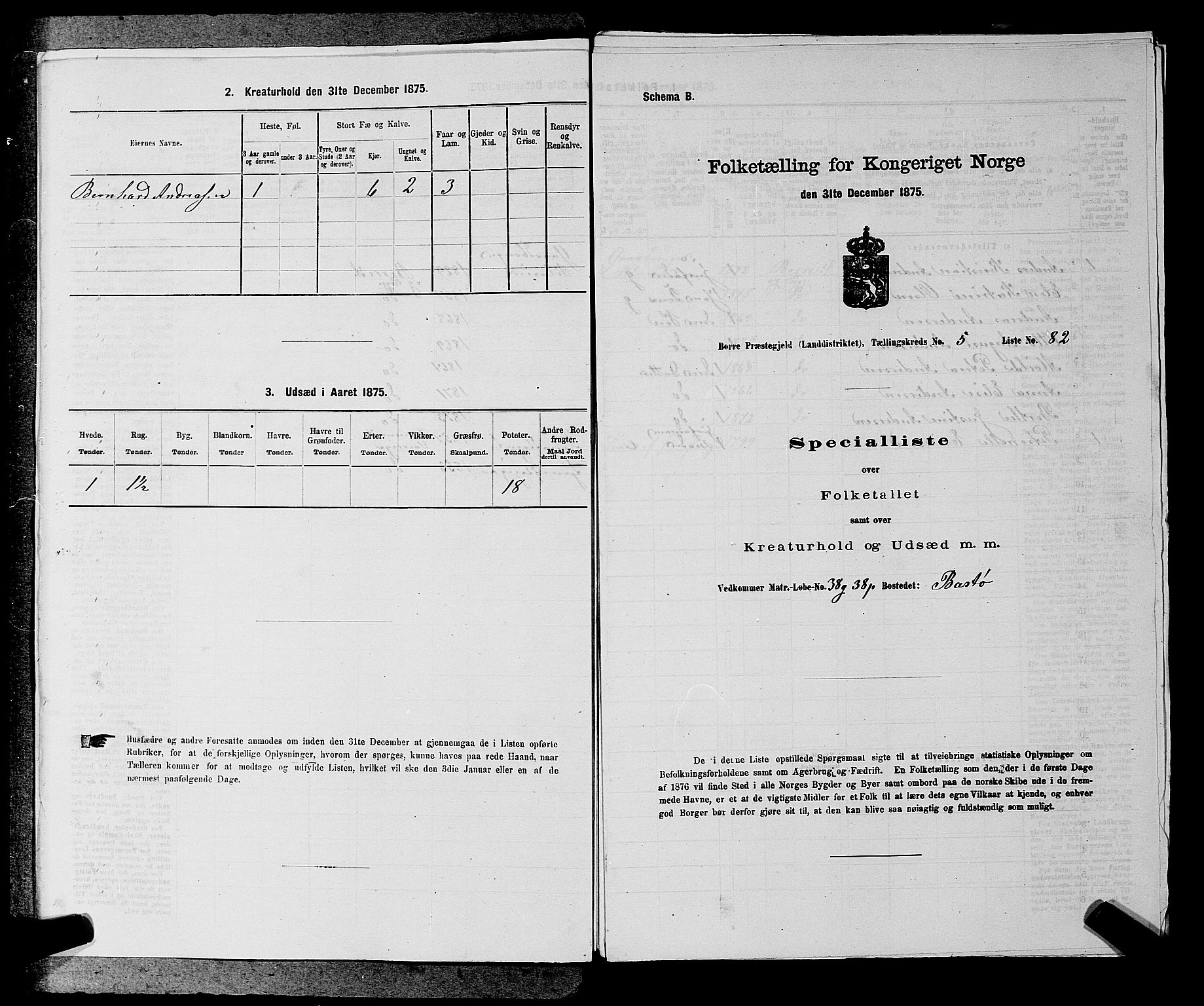 SAKO, 1875 census for 0717L Borre/Borre og Nykirke, 1875, p. 1006