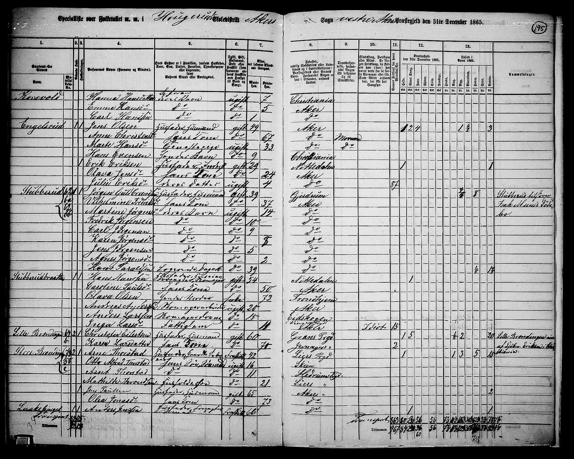 RA, 1865 census for Vestre Aker, 1865, p. 176