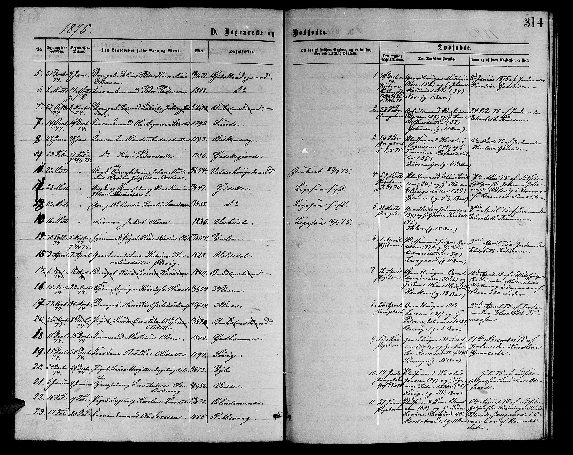 Ministerialprotokoller, klokkerbøker og fødselsregistre - Møre og Romsdal, AV/SAT-A-1454/528/L0428: Parish register (copy) no. 528C09, 1864-1880, p. 314