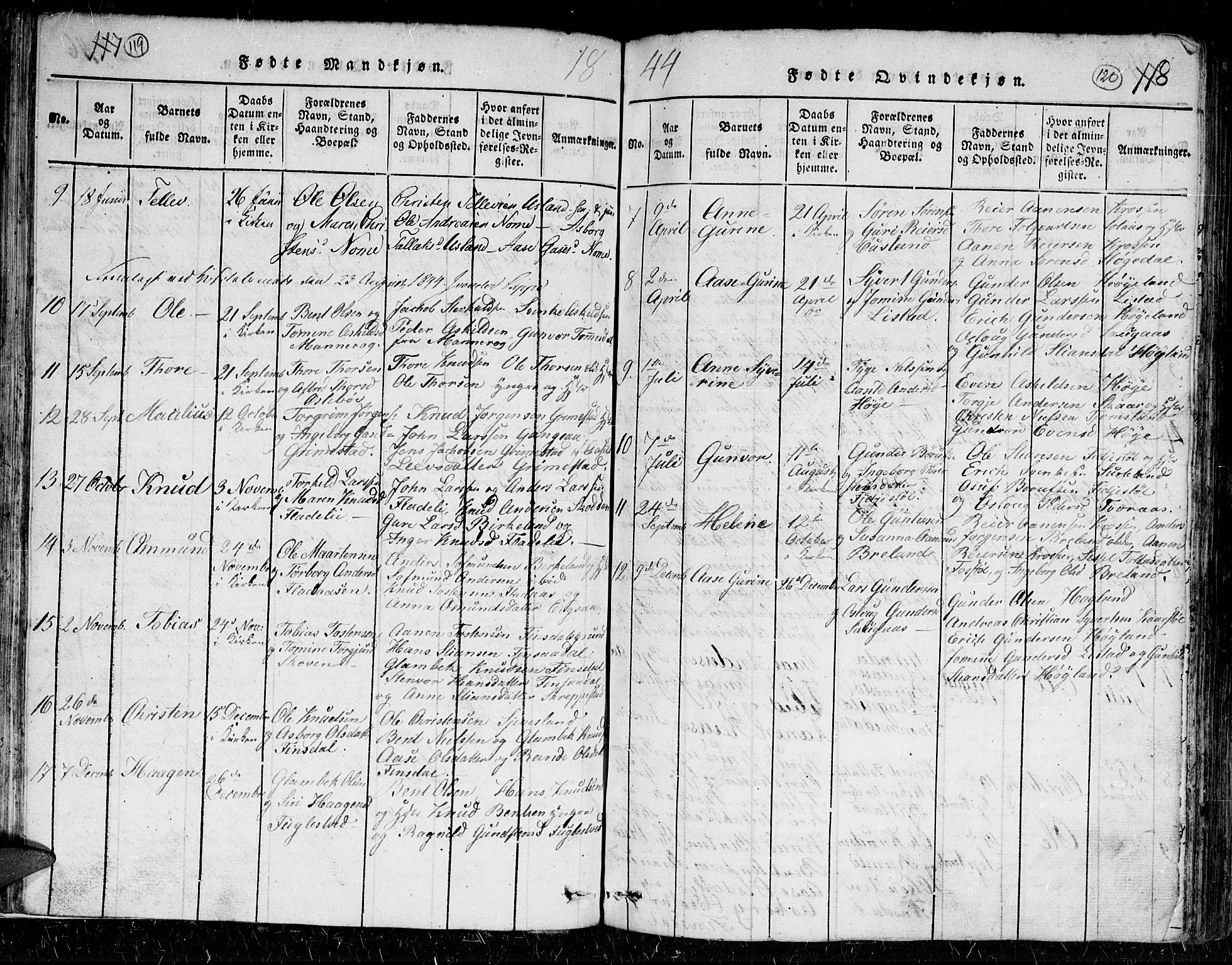 Holum sokneprestkontor, AV/SAK-1111-0022/F/Fb/Fbc/L0001: Parish register (copy) no. B 1, 1820-1859, p. 119-120