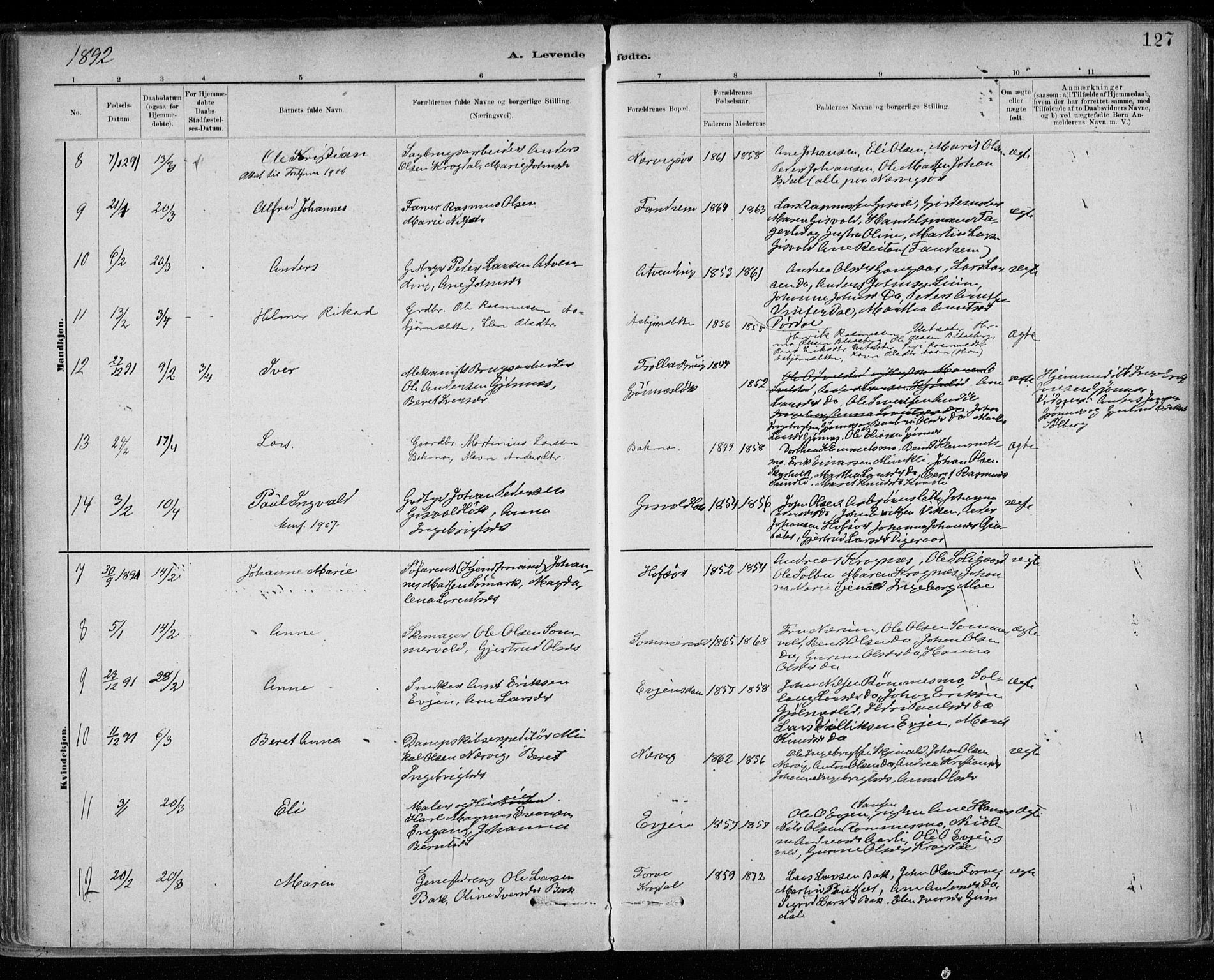Ministerialprotokoller, klokkerbøker og fødselsregistre - Sør-Trøndelag, SAT/A-1456/668/L0809: Parish register (official) no. 668A09, 1881-1895, p. 127