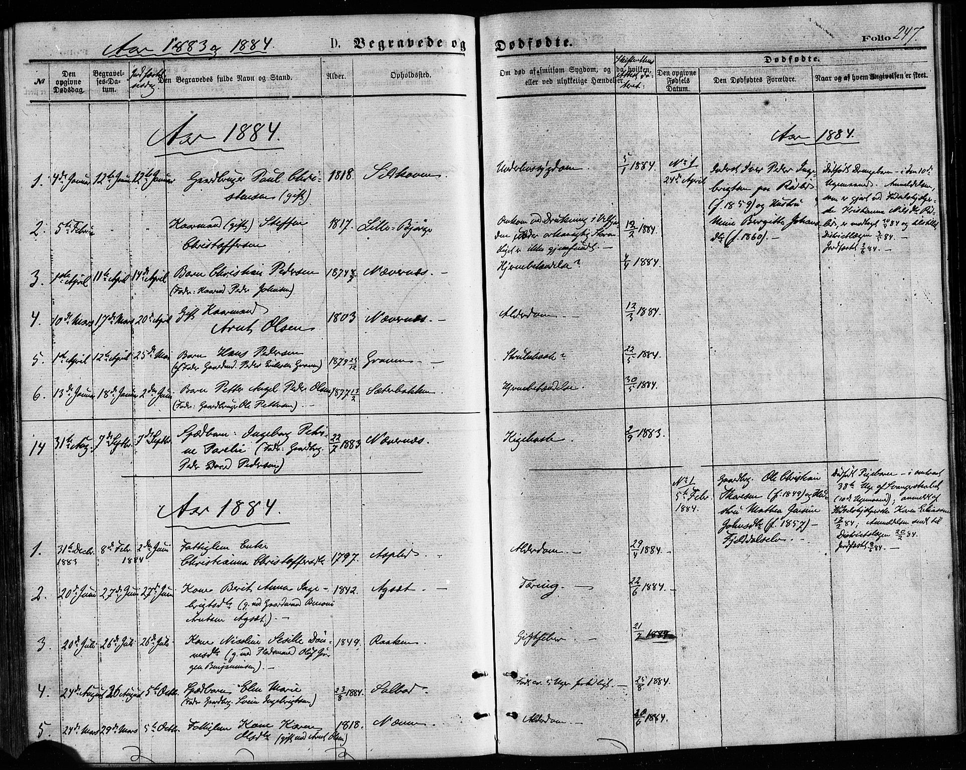 Ministerialprotokoller, klokkerbøker og fødselsregistre - Nordland, AV/SAT-A-1459/814/L0225: Parish register (official) no. 814A06, 1875-1885, p. 247