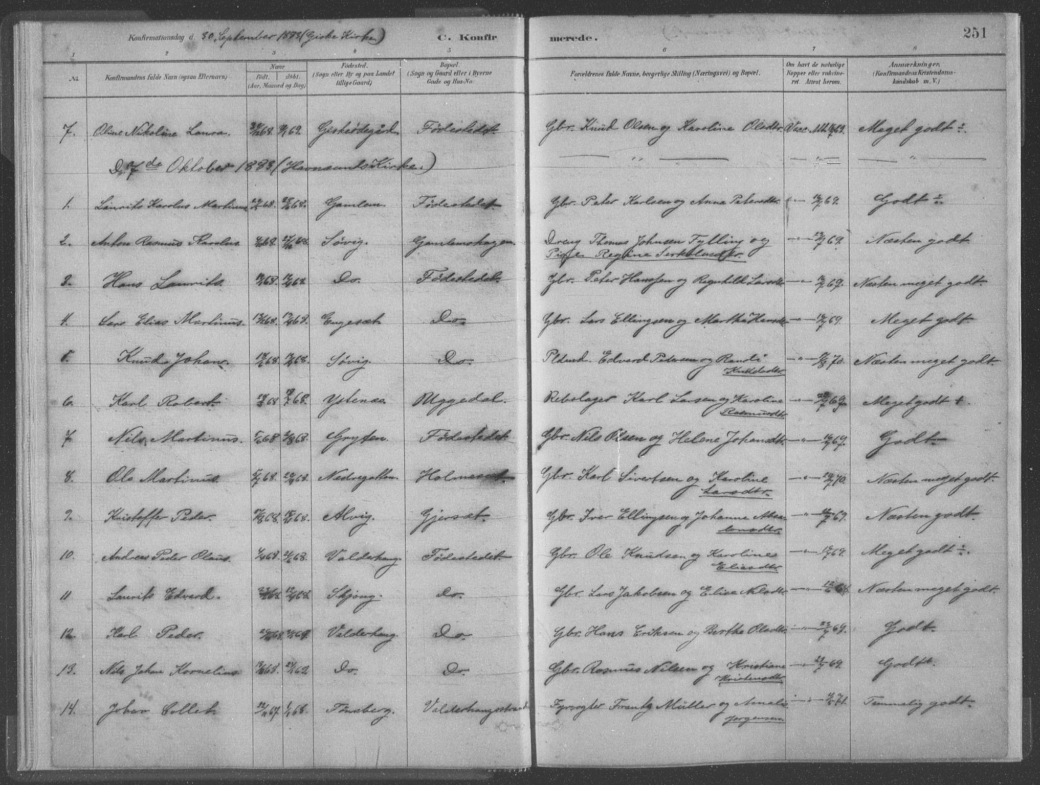 Ministerialprotokoller, klokkerbøker og fødselsregistre - Møre og Romsdal, SAT/A-1454/528/L0402: Parish register (official) no. 528A12II, 1880-1903, p. 251