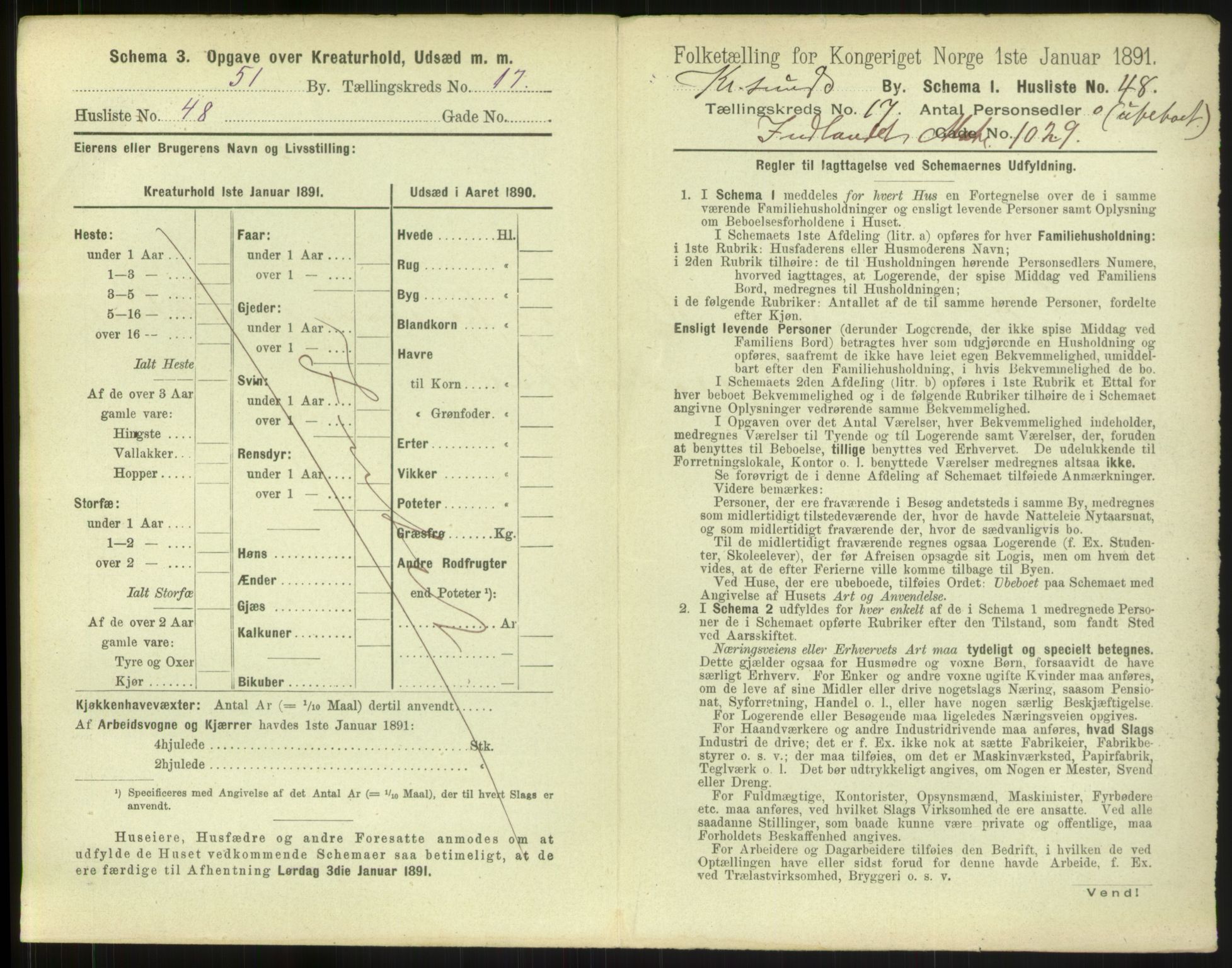 RA, 1891 census for 1503 Kristiansund, 1891, p. 1846