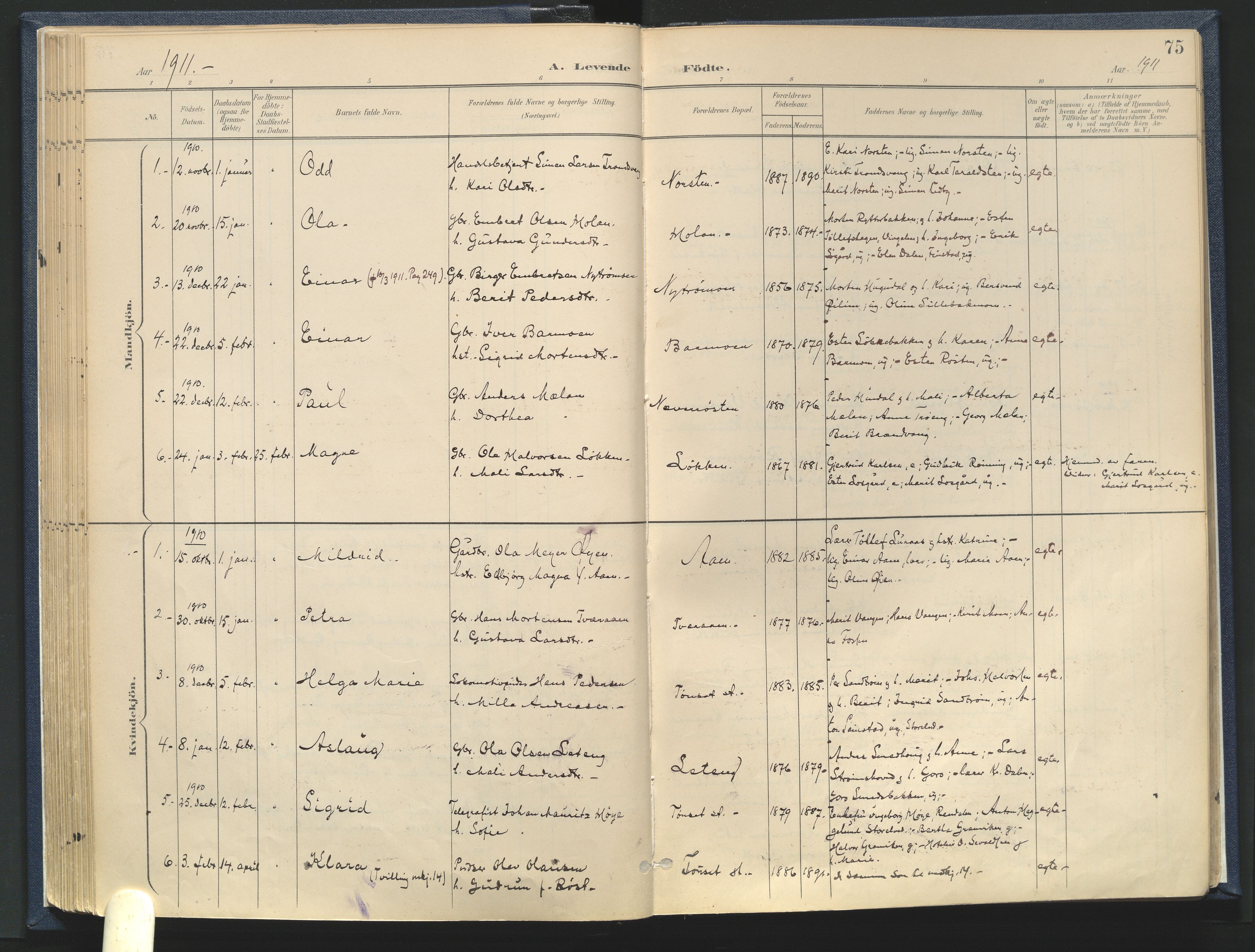 Tynset prestekontor, SAH/PREST-058/H/Ha/Haa/L0025: Parish register (official) no. 25, 1900-1914, p. 75