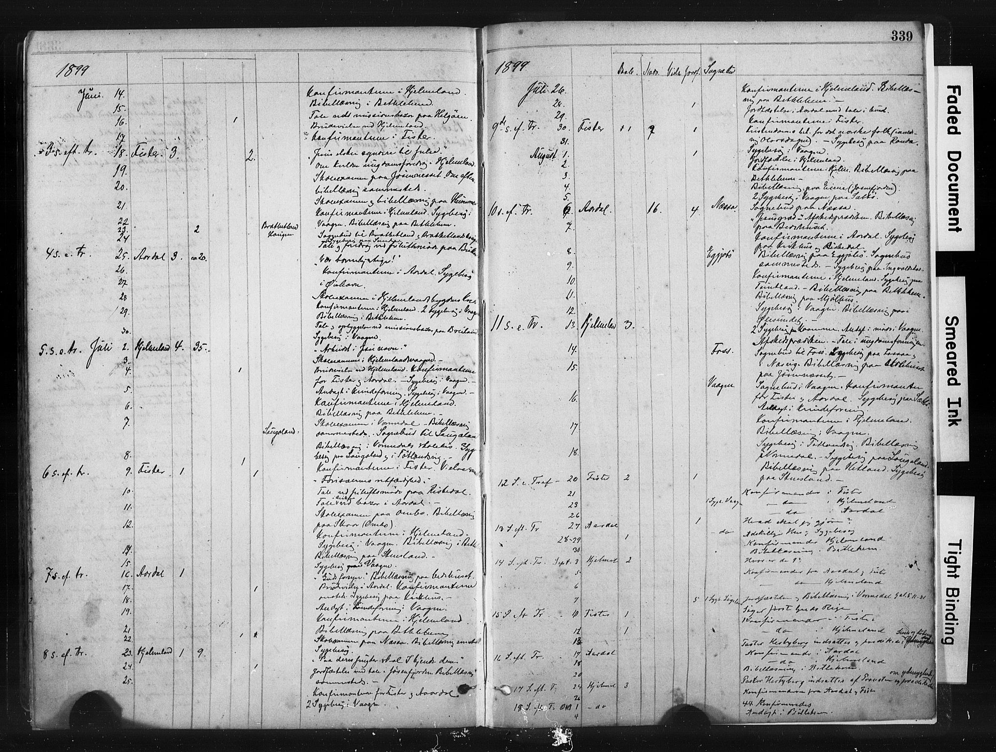 Hjelmeland sokneprestkontor, AV/SAST-A-101843/01/IV/L0014: Parish register (official) no. A 14, 1879-1900, p. 339