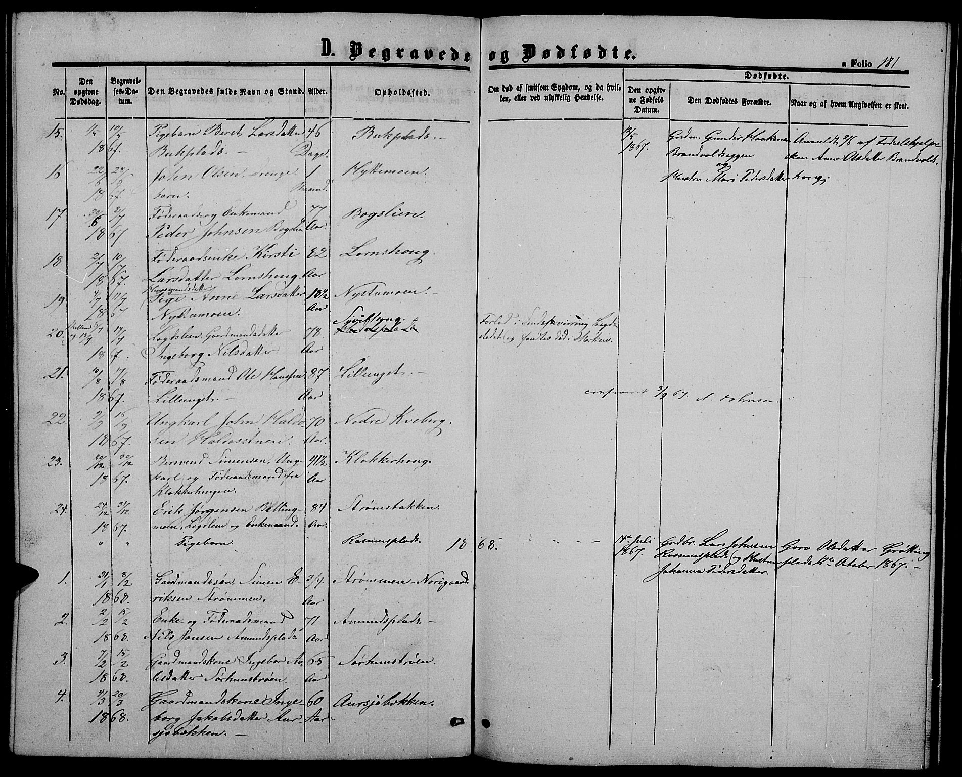 Alvdal prestekontor, SAH/PREST-060/H/Ha/Hab/L0002: Parish register (copy) no. 2, 1863-1878, p. 181
