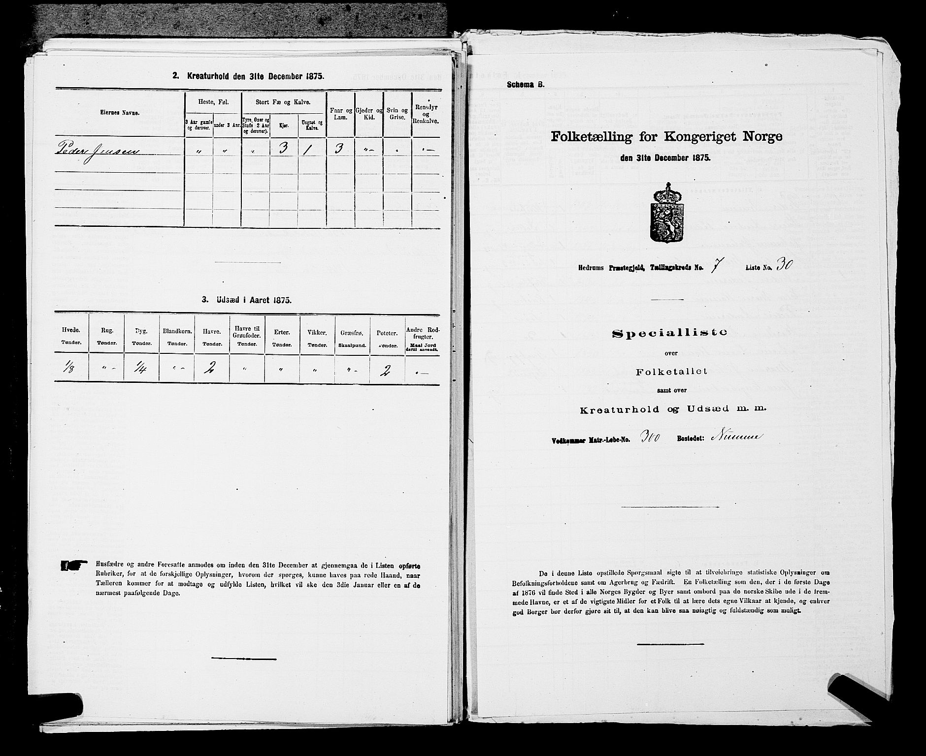 SAKO, 1875 census for 0727P Hedrum, 1875, p. 702