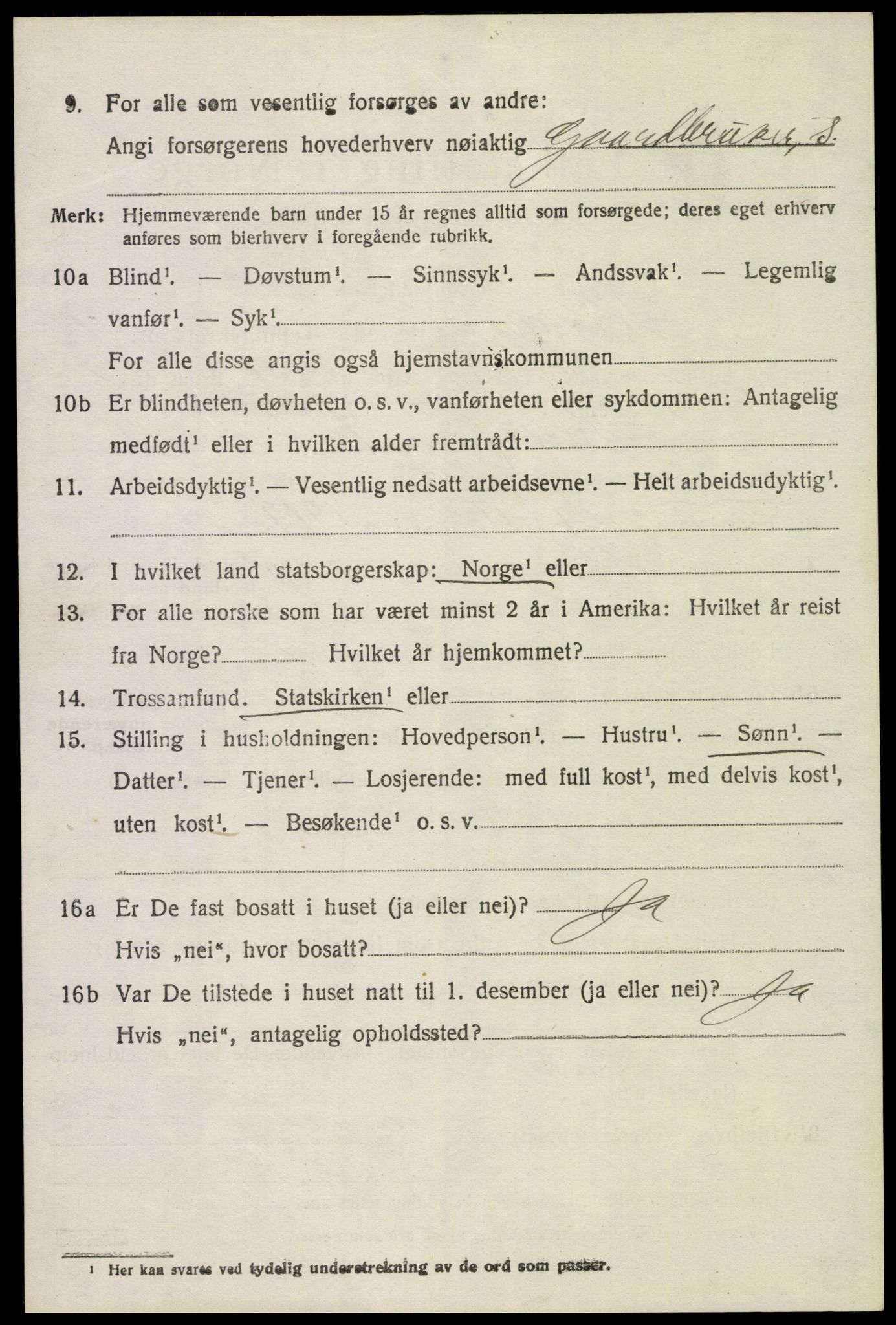 SAH, 1920 census for Ringsaker, 1920, p. 19369