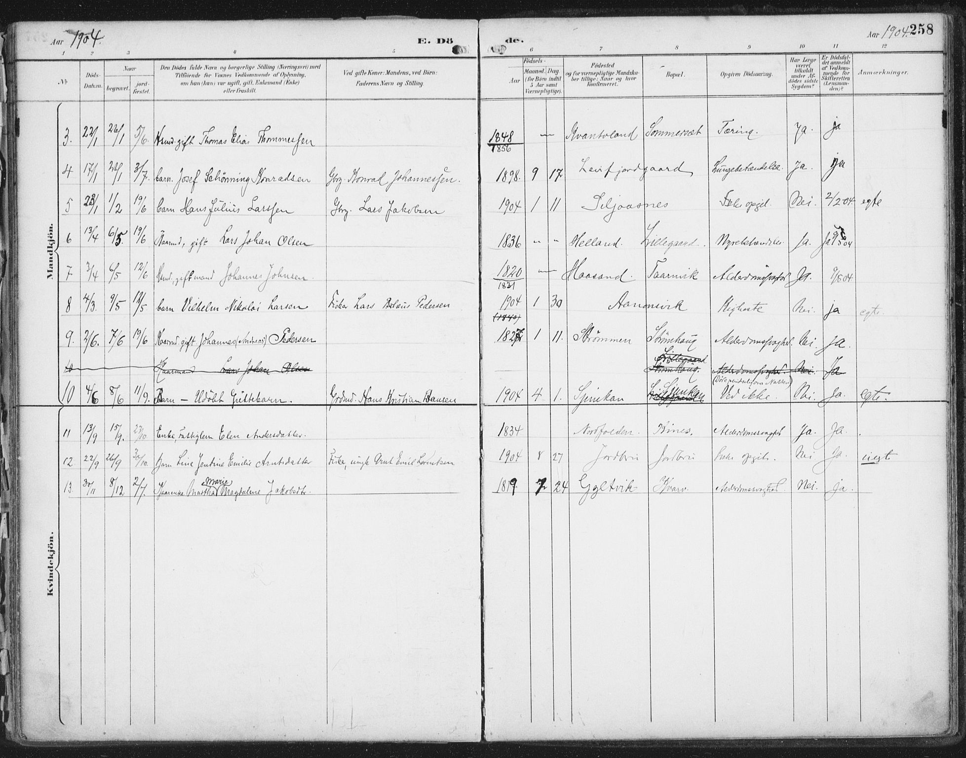 Ministerialprotokoller, klokkerbøker og fødselsregistre - Nordland, AV/SAT-A-1459/854/L0779: Parish register (official) no. 854A02, 1892-1909, p. 258