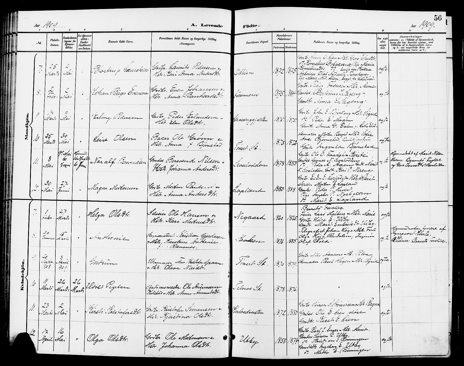 Tynset prestekontor, SAH/PREST-058/H/Ha/Hab/L0009: Parish register (copy) no. 9, 1900-1914, p. 56