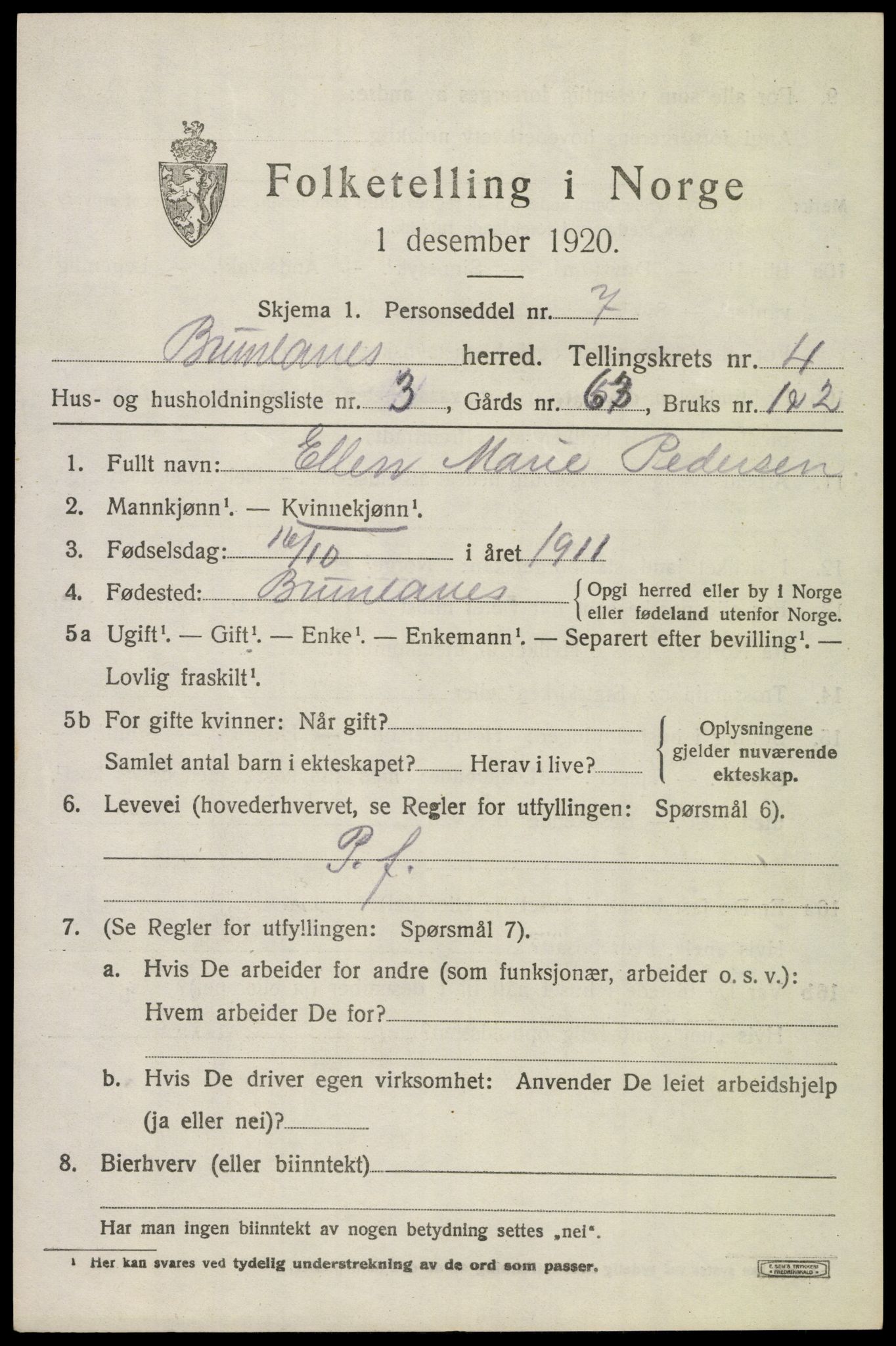 SAKO, 1920 census for Brunlanes, 1920, p. 6153