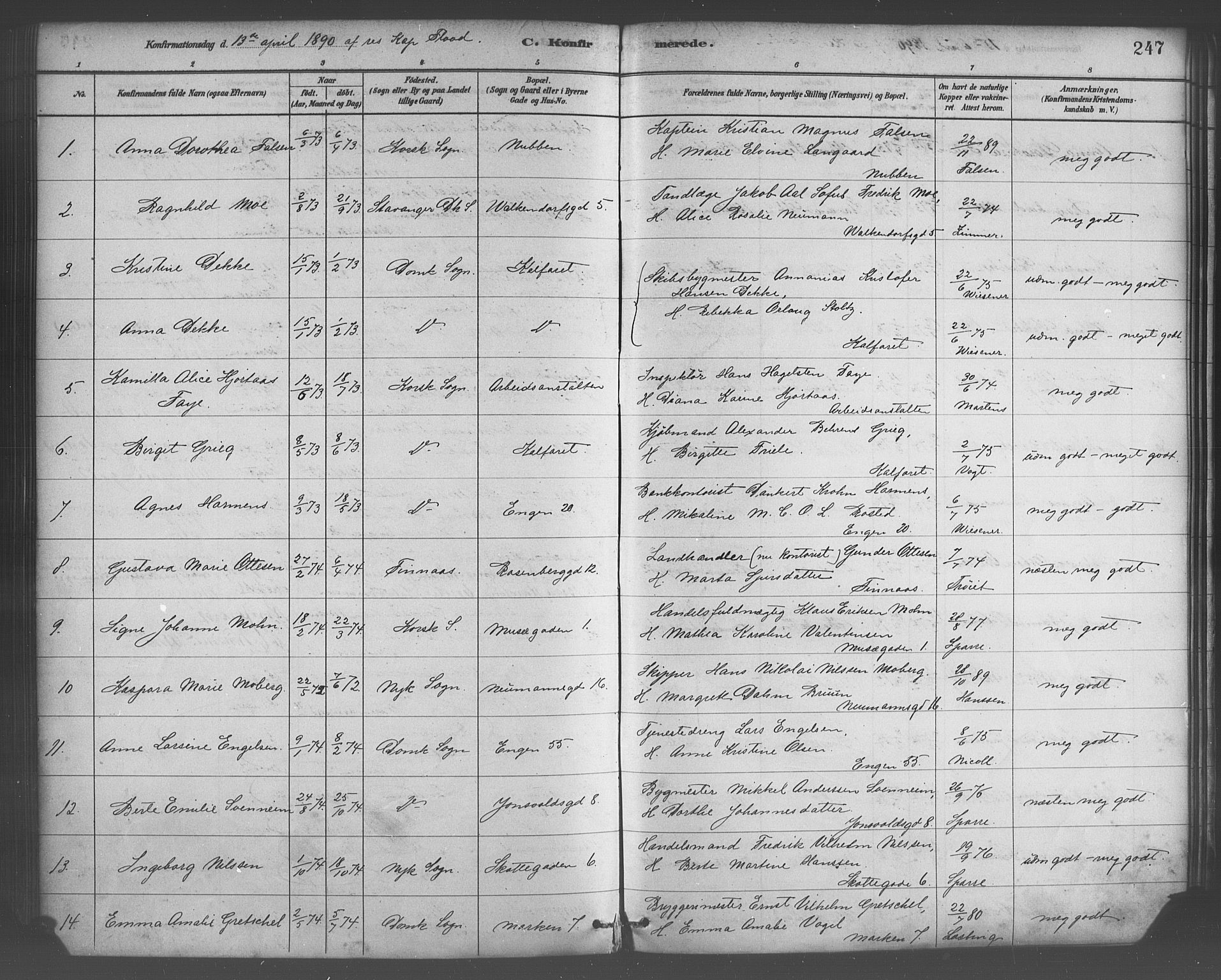 Domkirken sokneprestembete, SAB/A-74801/H/Haa/L0030: Parish register (official) no. C 5, 1880-1898, p. 247