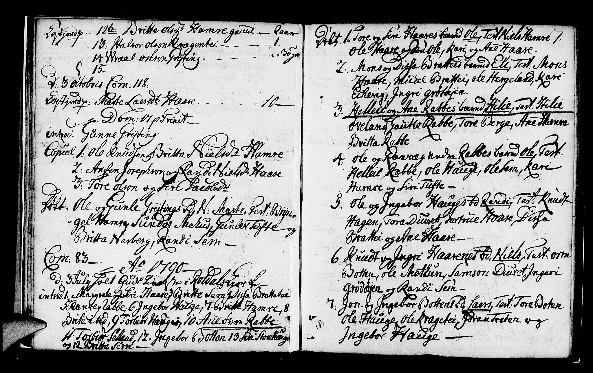 Røldal sokneprestembete, SAB/A-100247: Parish register (official) no. A 1, 1780-1816, p. 7