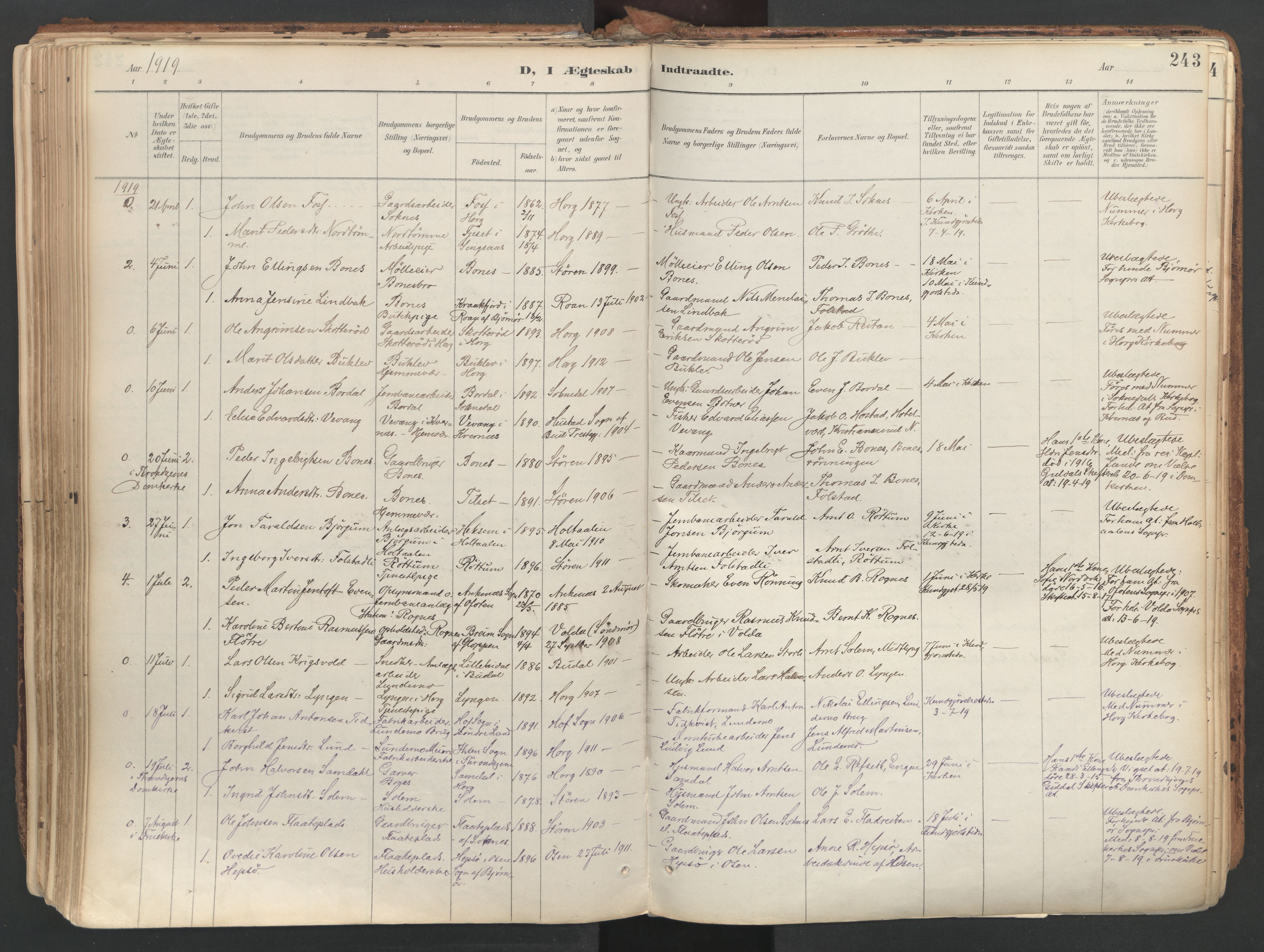 Ministerialprotokoller, klokkerbøker og fødselsregistre - Sør-Trøndelag, AV/SAT-A-1456/687/L1004: Parish register (official) no. 687A10, 1891-1923, p. 243