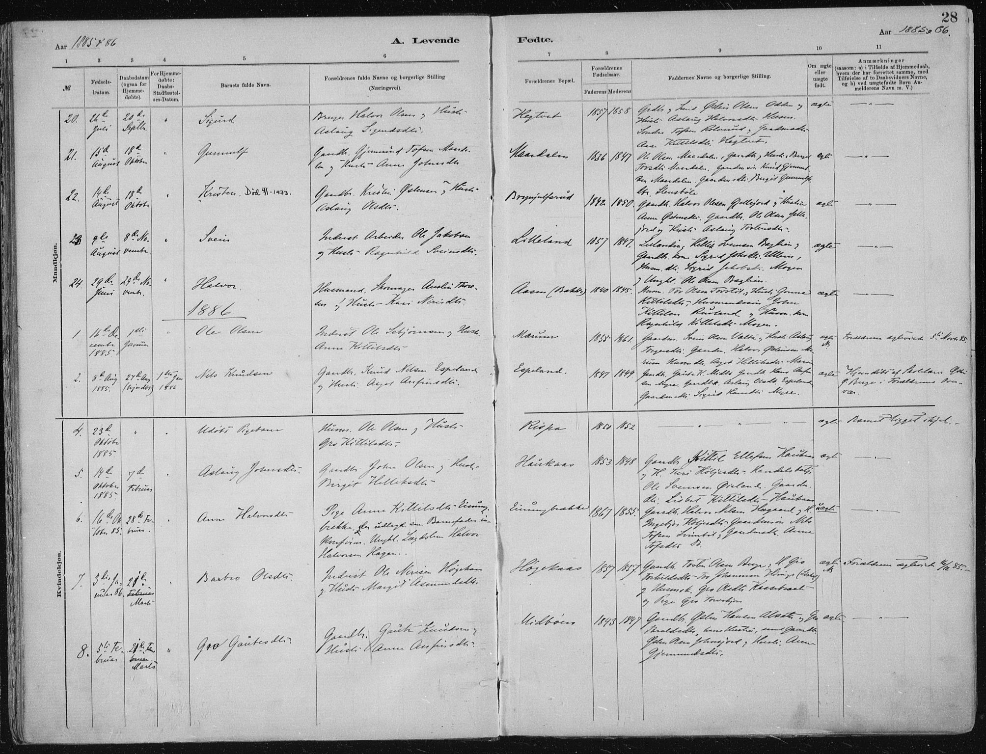 Tinn kirkebøker, AV/SAKO-A-308/F/Fa/L0007: Parish register (official) no. I 7, 1878-1922, p. 28