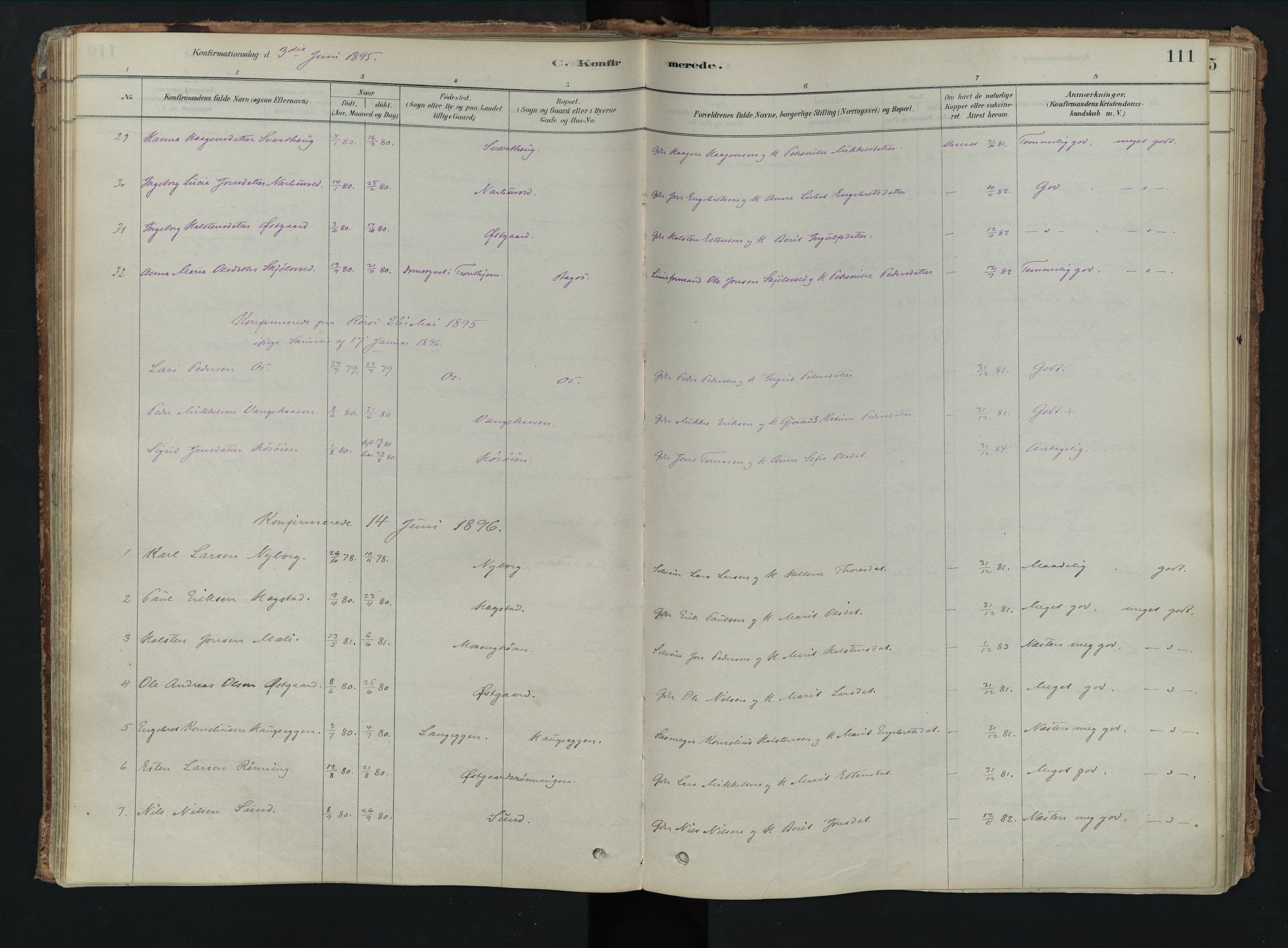 Tolga prestekontor, SAH/PREST-062/K/L0008: Parish register (official) no. 8, 1877-1910, p. 111