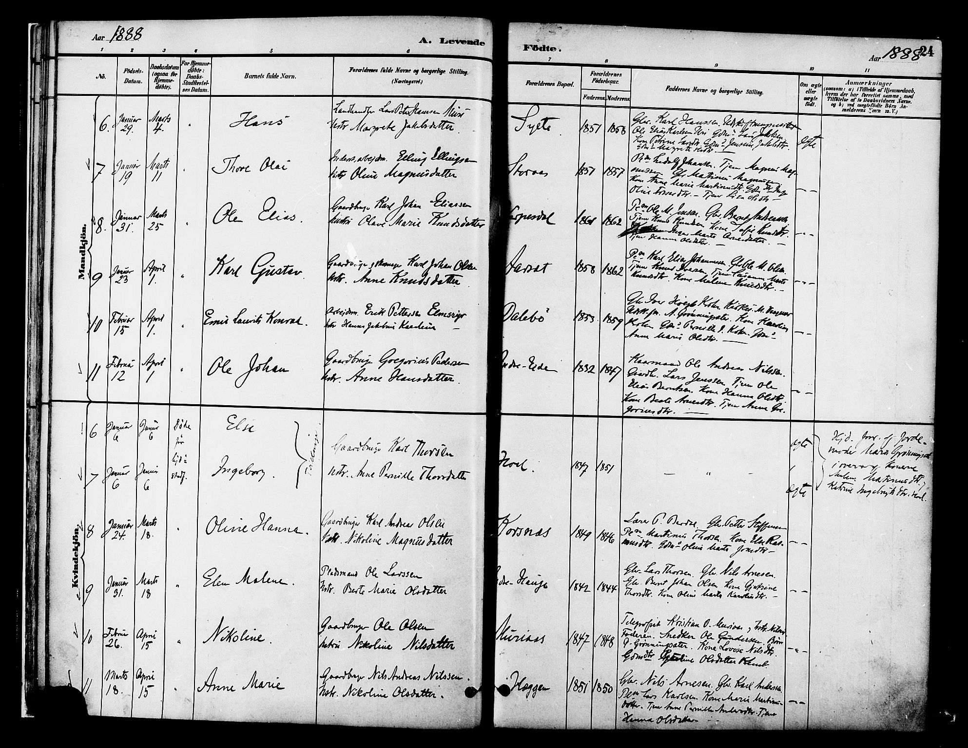 Ministerialprotokoller, klokkerbøker og fødselsregistre - Møre og Romsdal, SAT/A-1454/519/L0255: Parish register (official) no. 519A14, 1884-1908, p. 24