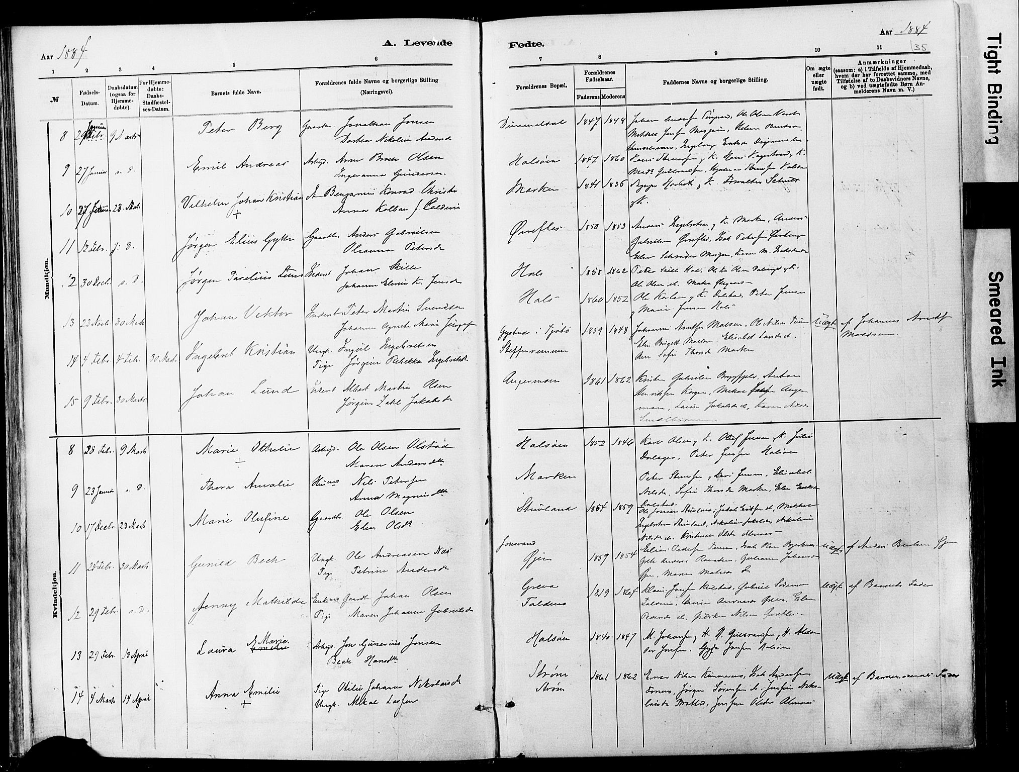 Ministerialprotokoller, klokkerbøker og fødselsregistre - Nordland, AV/SAT-A-1459/820/L0295: Parish register (official) no. 820A16, 1880-1896, p. 35