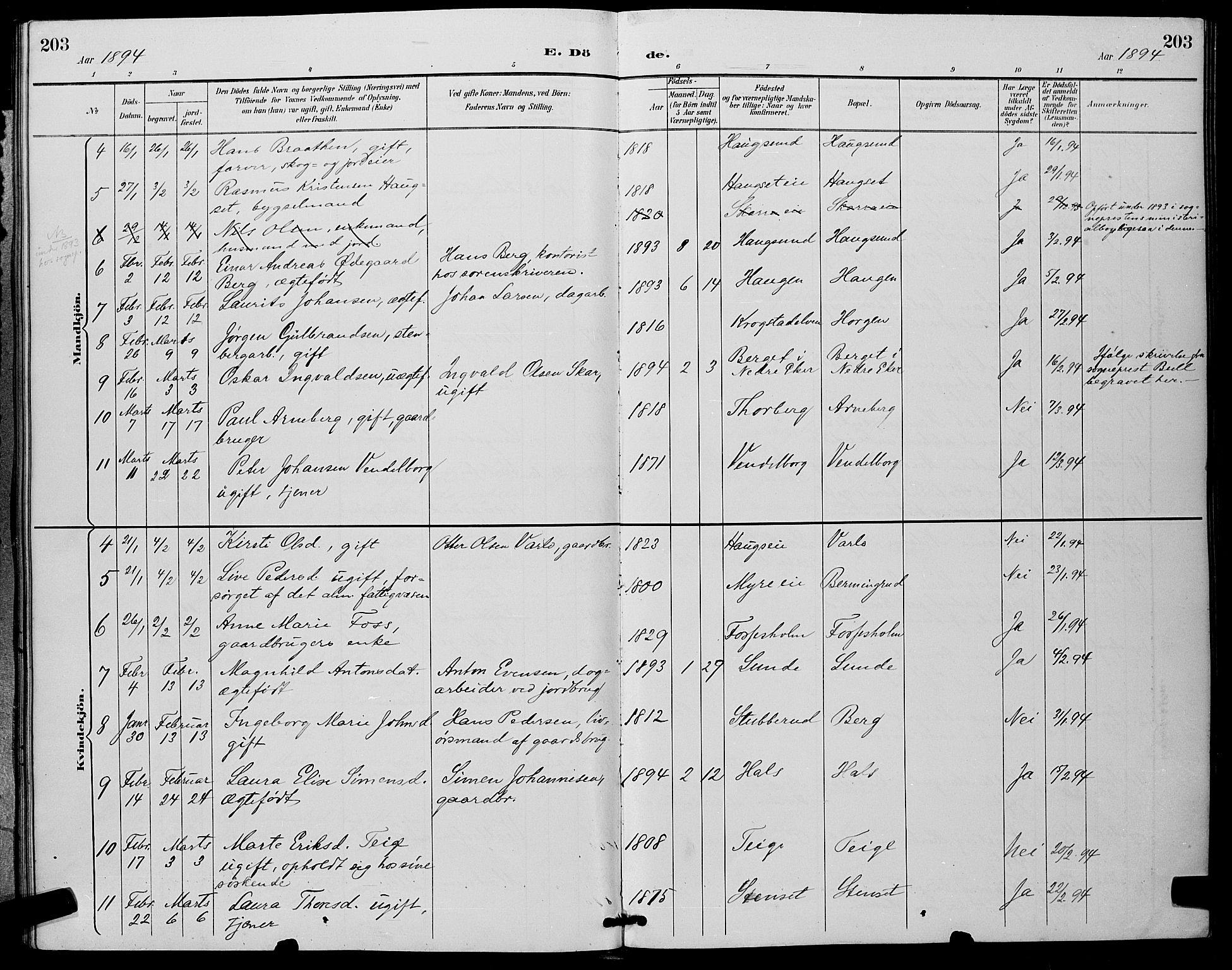 Eiker kirkebøker, SAKO/A-4/G/Ga/L0007: Parish register (copy) no. I 7, 1893-1902, p. 203