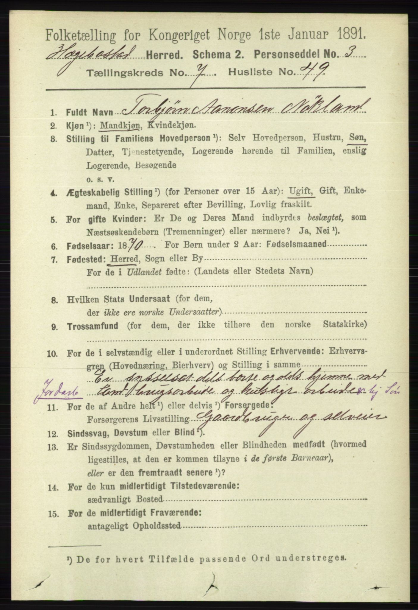 RA, 1891 census for 1034 Hægebostad, 1891, p. 2406