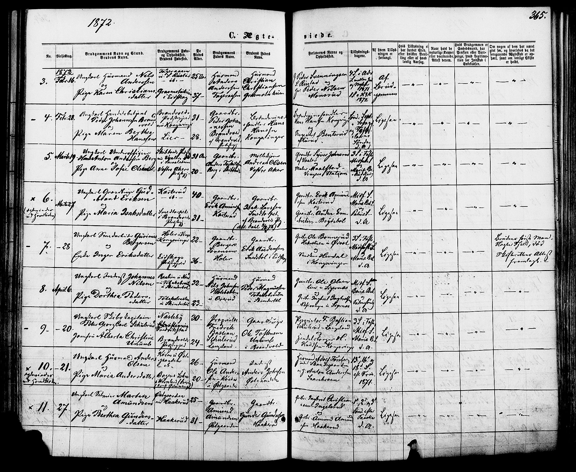 Vinger prestekontor, SAH/PREST-024/H/Ha/Haa/L0012: Parish register (official) no. 12, 1871-1880, p. 365