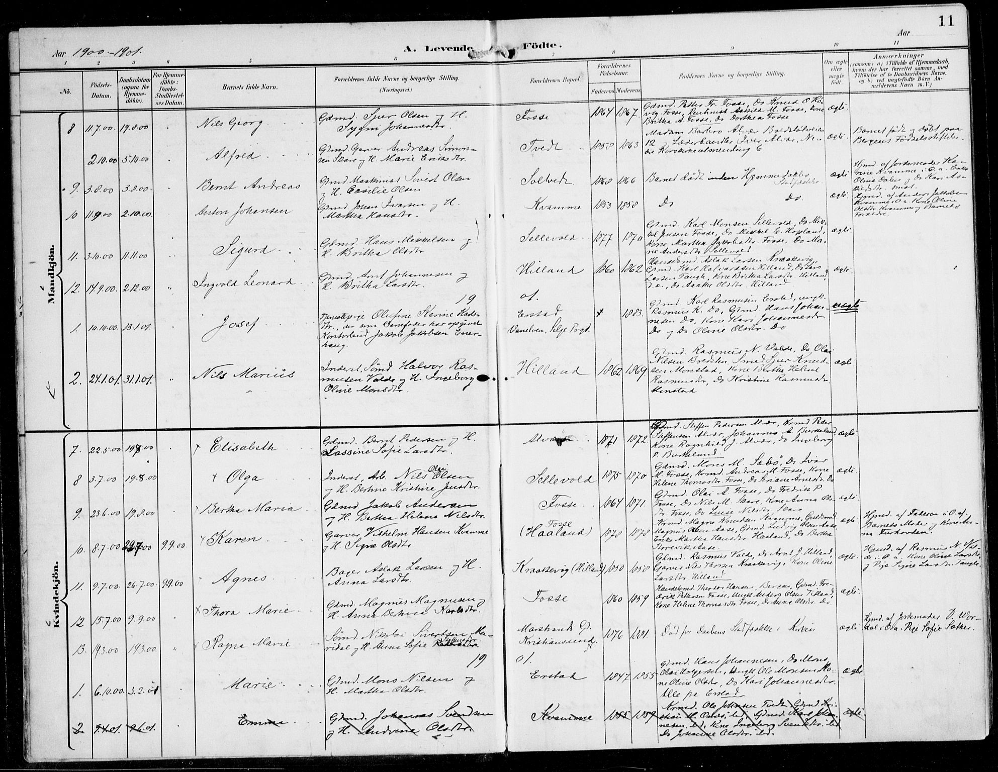 Alversund Sokneprestembete, AV/SAB-A-73901/H/Ha/Haa/Haaa/L0003: Parish register (official) no. A 3, 1897-1926, p. 11