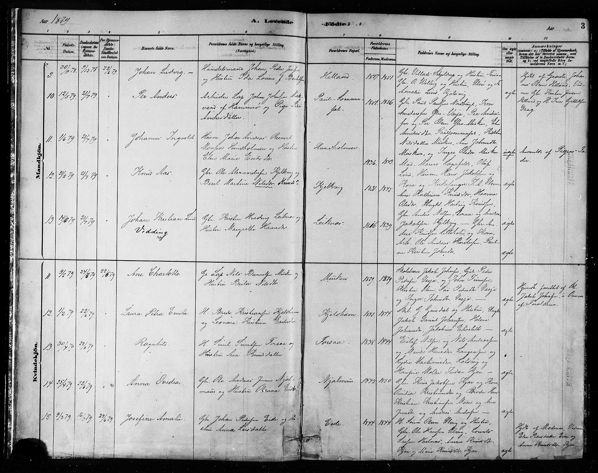 Ministerialprotokoller, klokkerbøker og fødselsregistre - Nordland, AV/SAT-A-1459/861/L0868: Parish register (official) no. 861A03, 1879-1889, p. 3