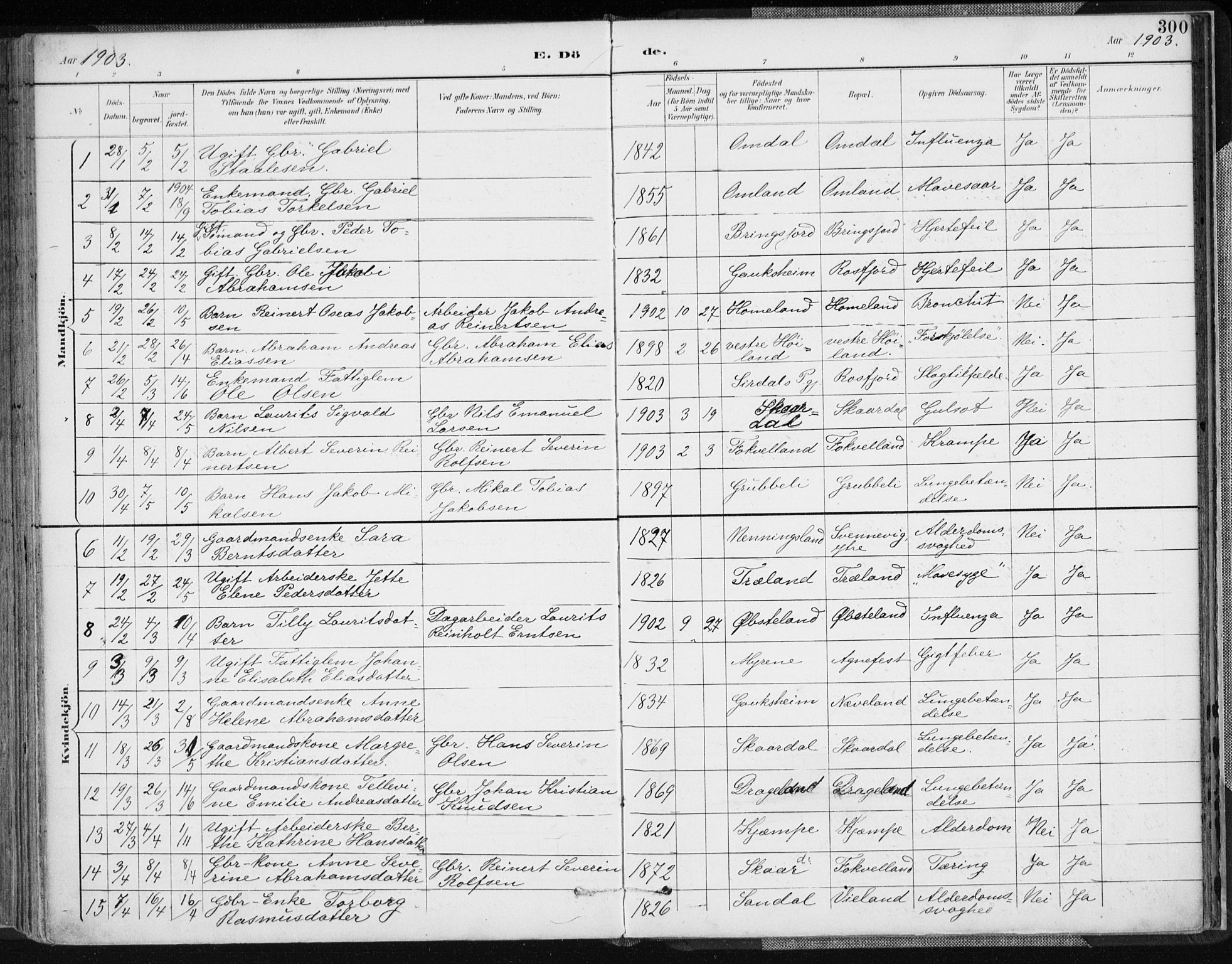 Lyngdal sokneprestkontor, SAK/1111-0029/F/Fa/Fac/L0012: Parish register (official) no. A 12, 1894-1918, p. 300