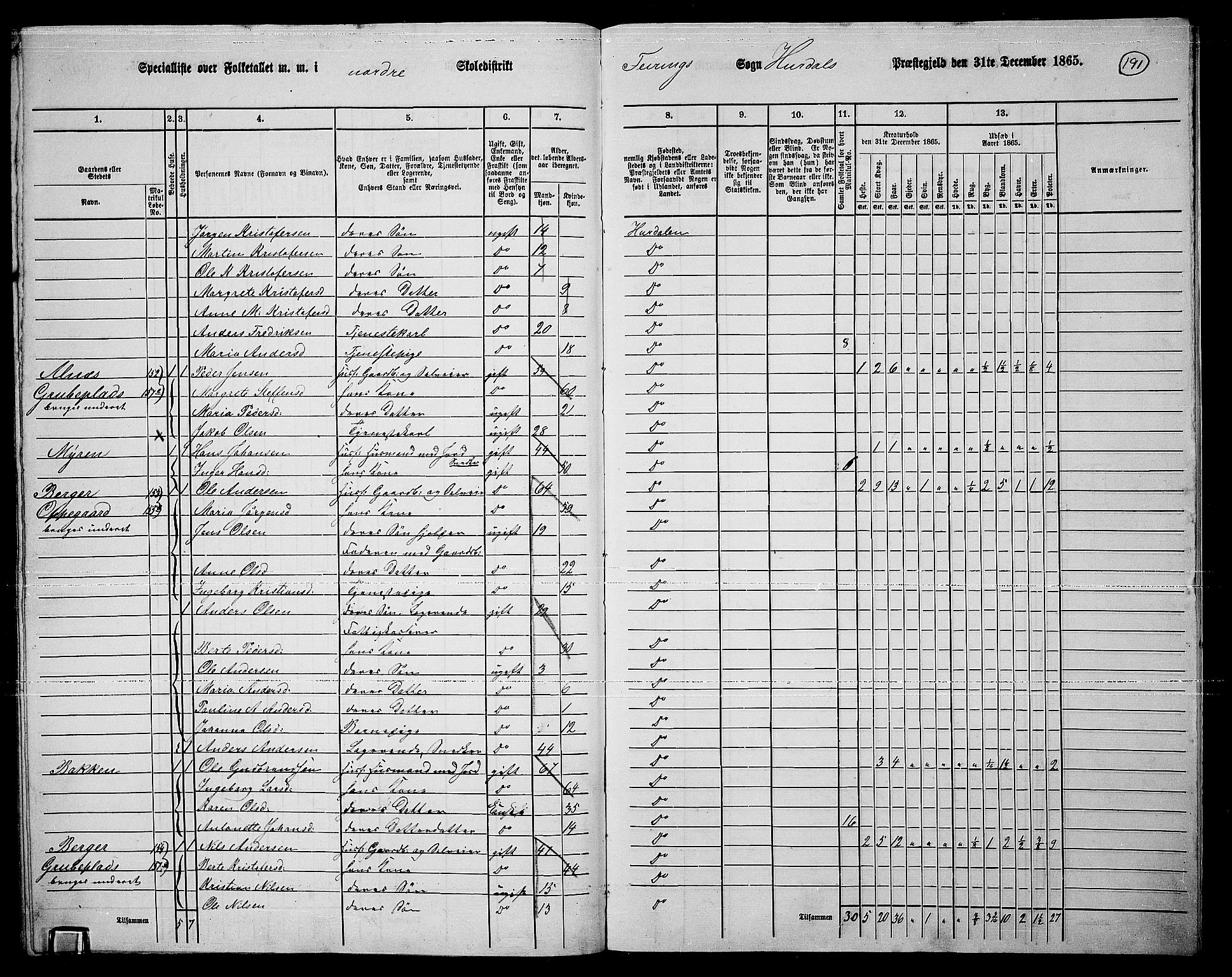 RA, 1865 census for Hurdal, 1865, p. 161