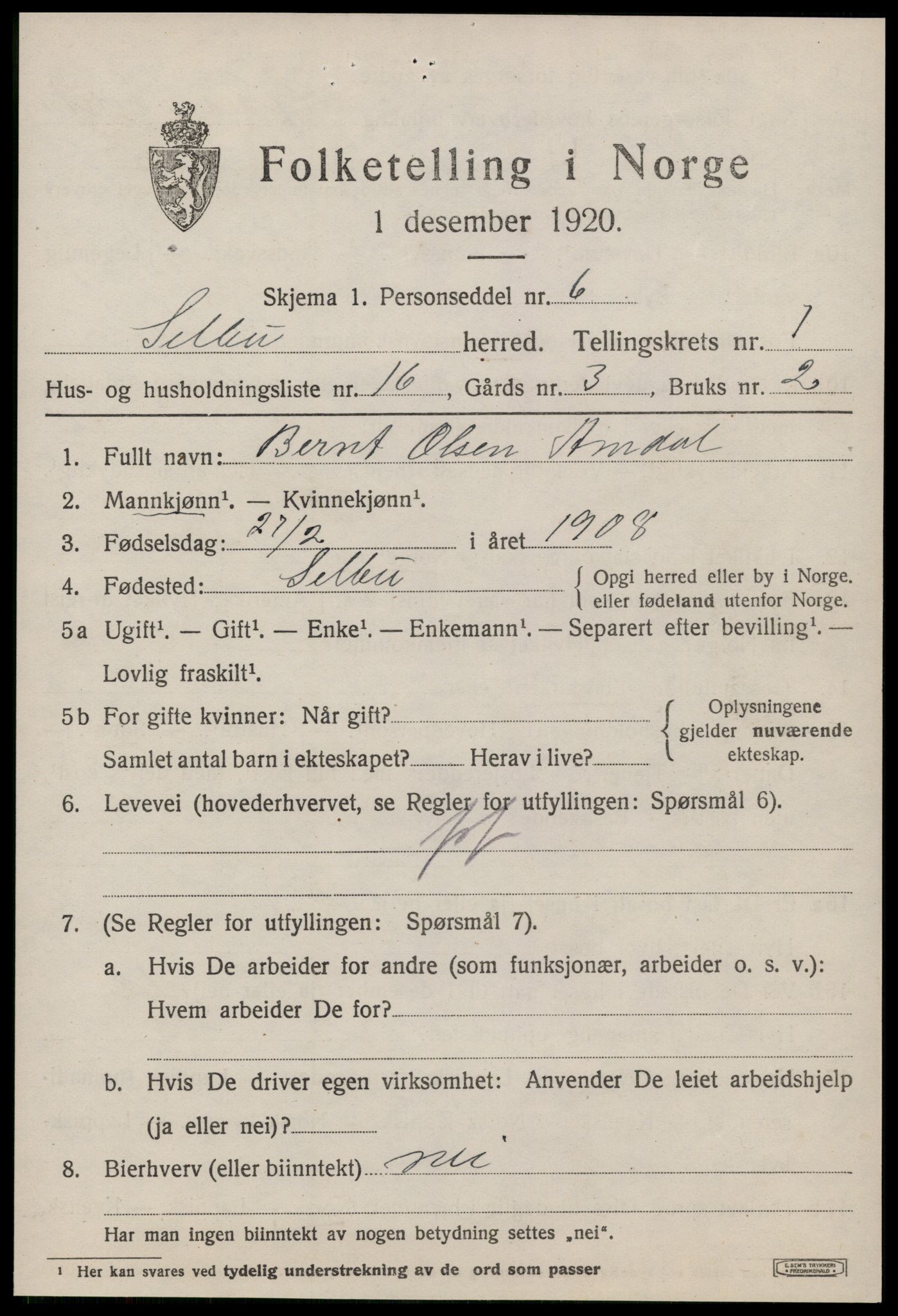 SAT, 1920 census for Selbu, 1920, p. 1916