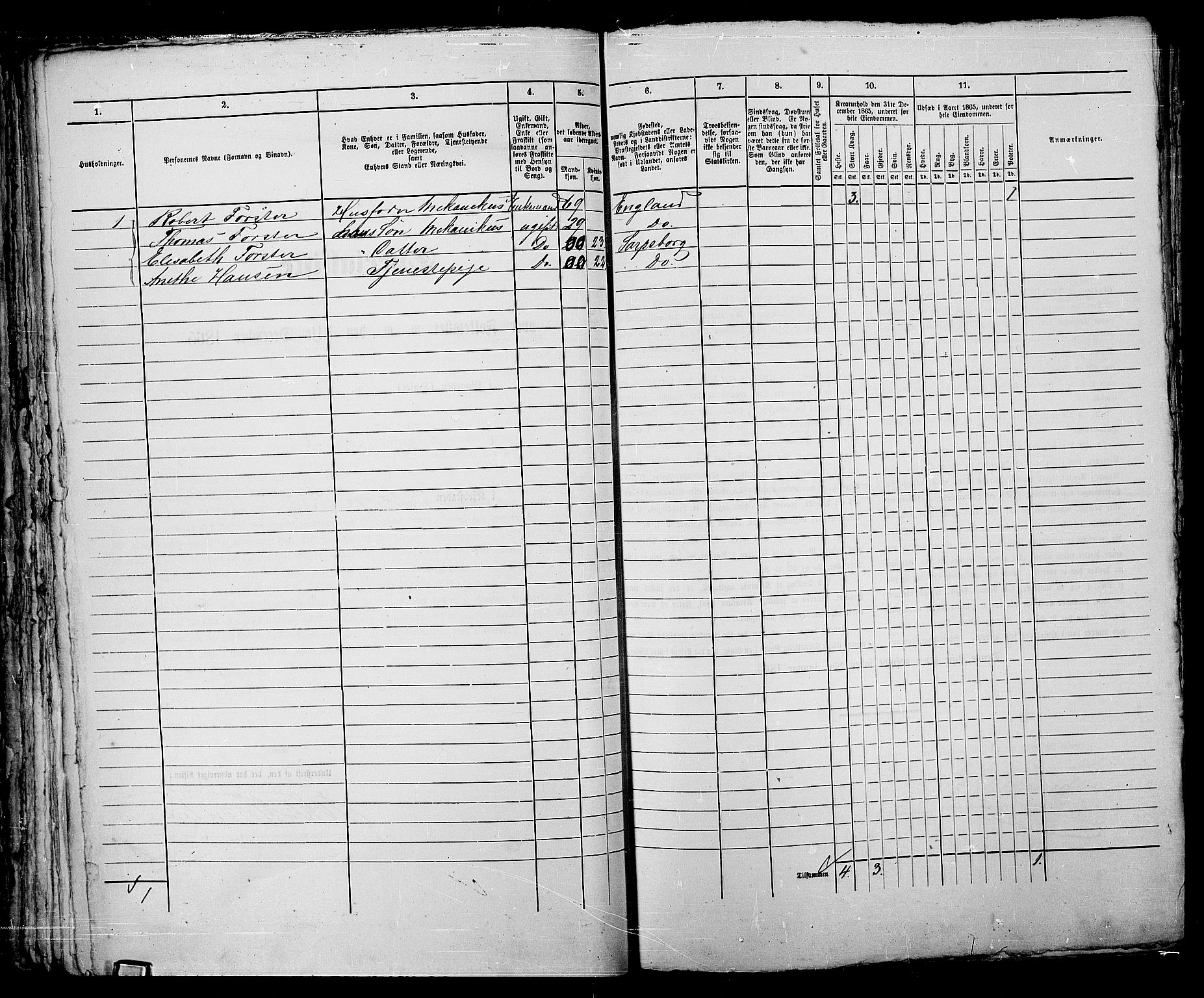 RA, 1865 census for Sarpsborg, 1865, p. 167