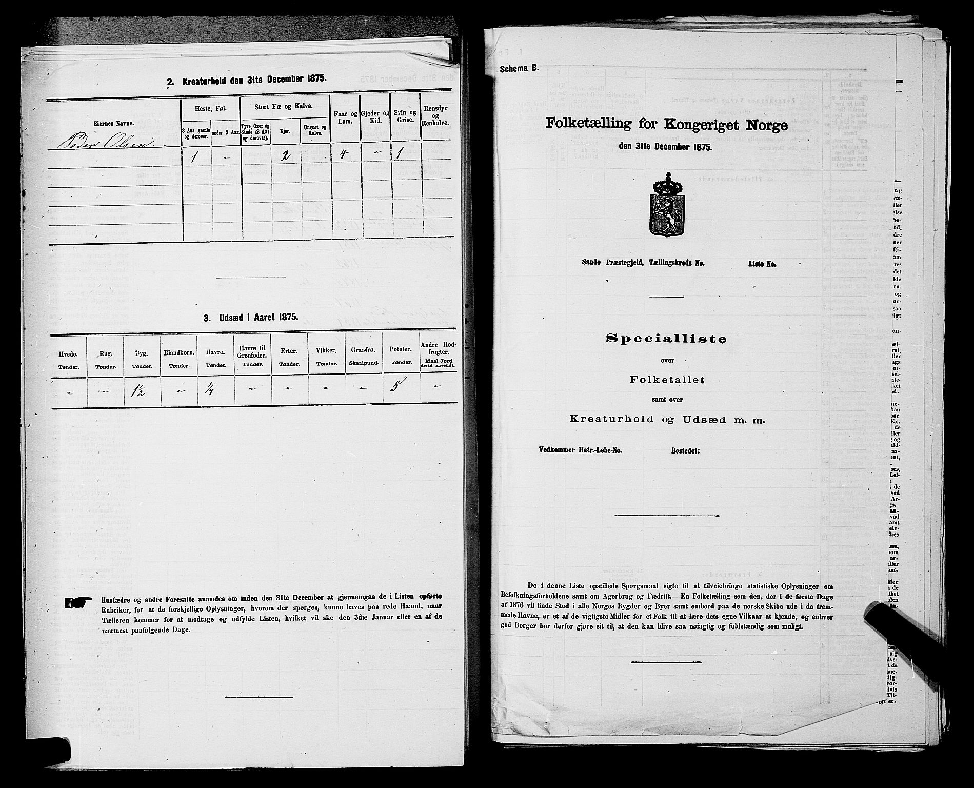 SAKO, 1875 census for 0816P Sannidal, 1875, p. 543