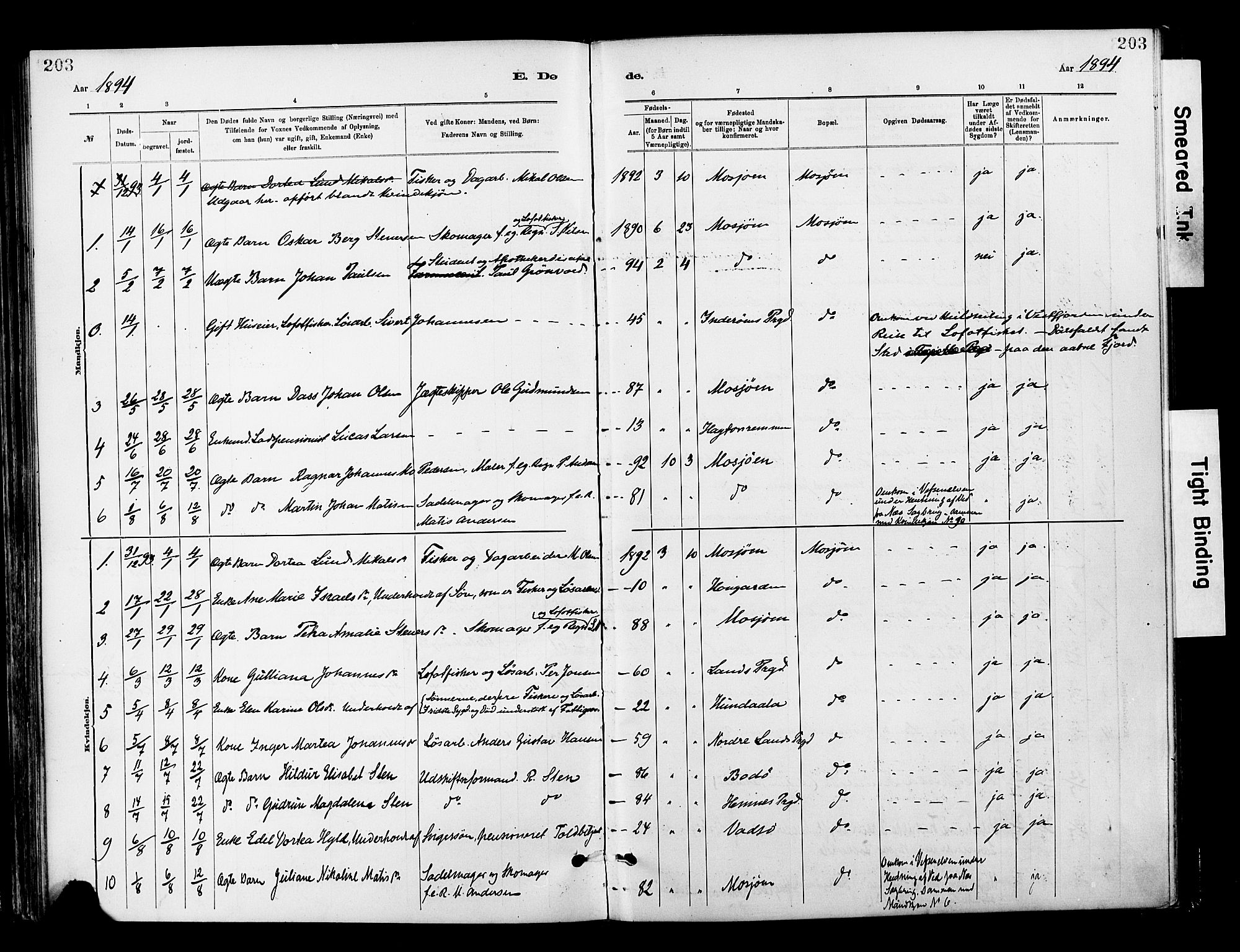 Ministerialprotokoller, klokkerbøker og fødselsregistre - Nordland, AV/SAT-A-1459/820/L0296: Parish register (official) no. 820A17, 1880-1903, p. 203