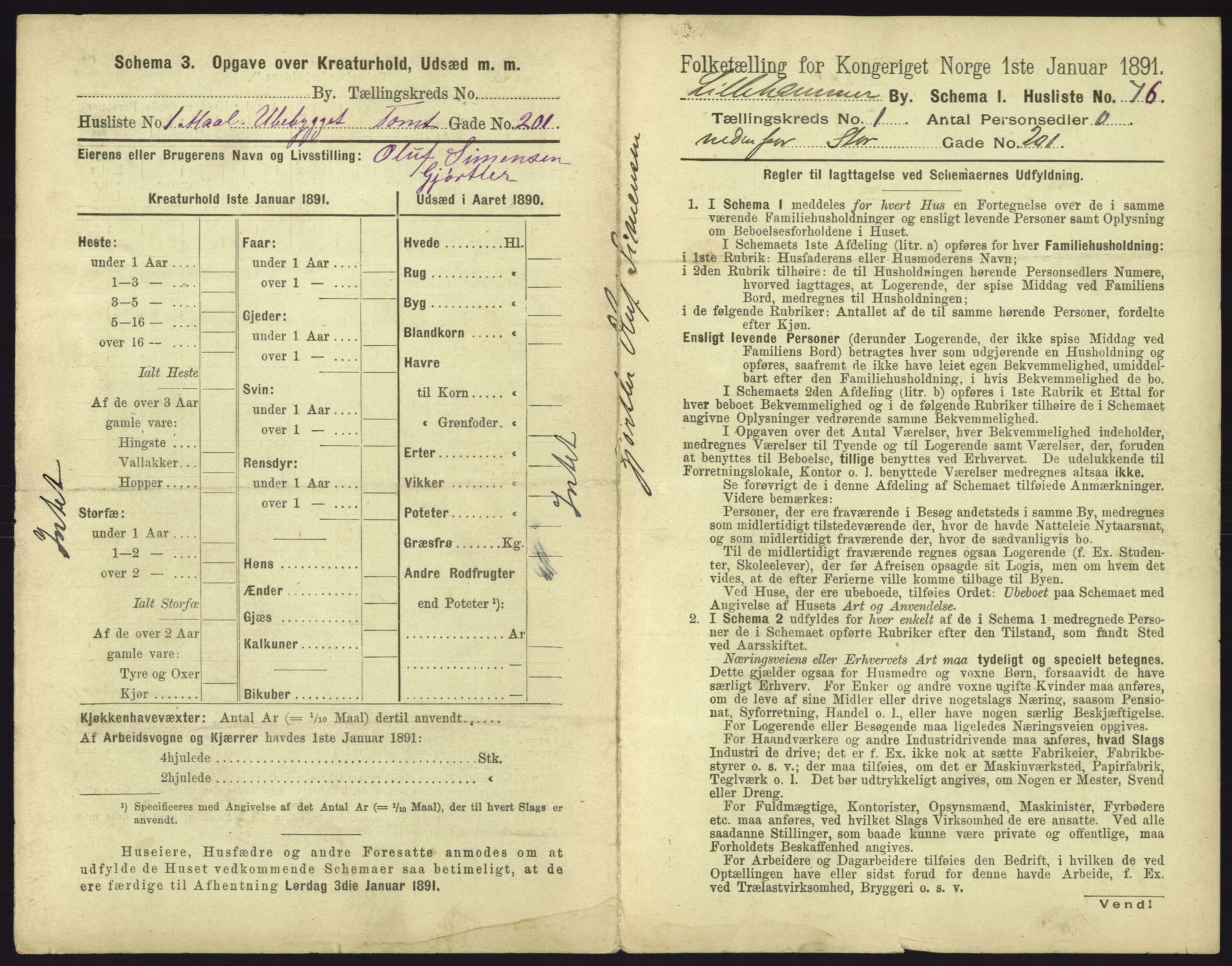 RA, 1891 census for 0501 Lillehammer, 1891, p. 205